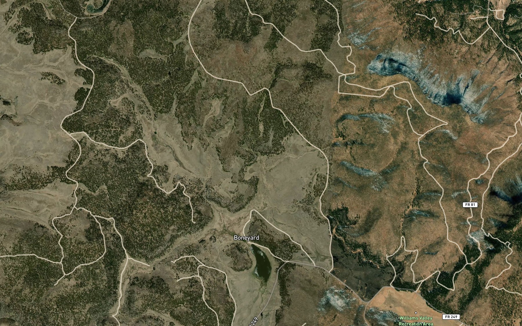 Satellite map of the Boneyard Spring