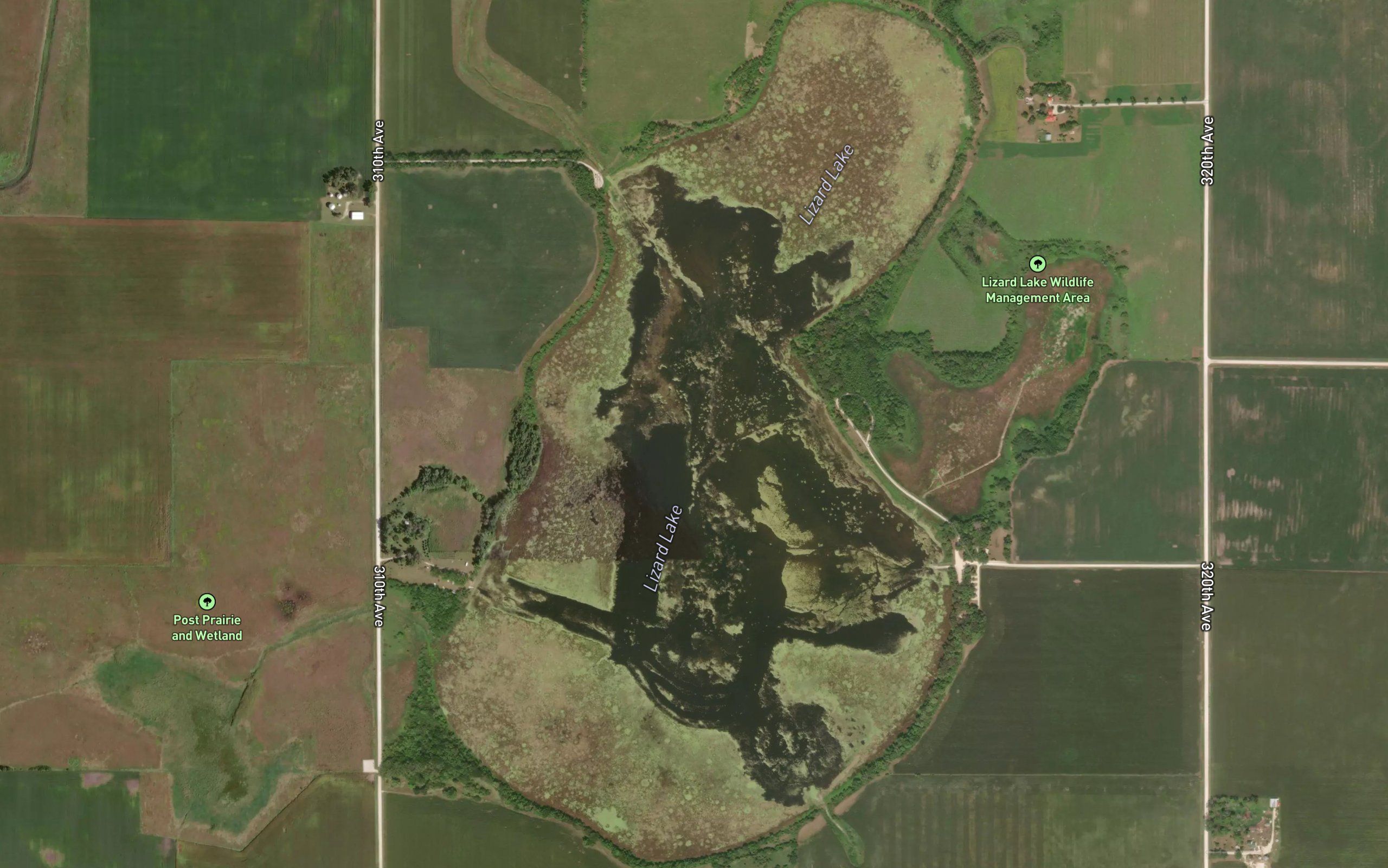 Lizard Lake