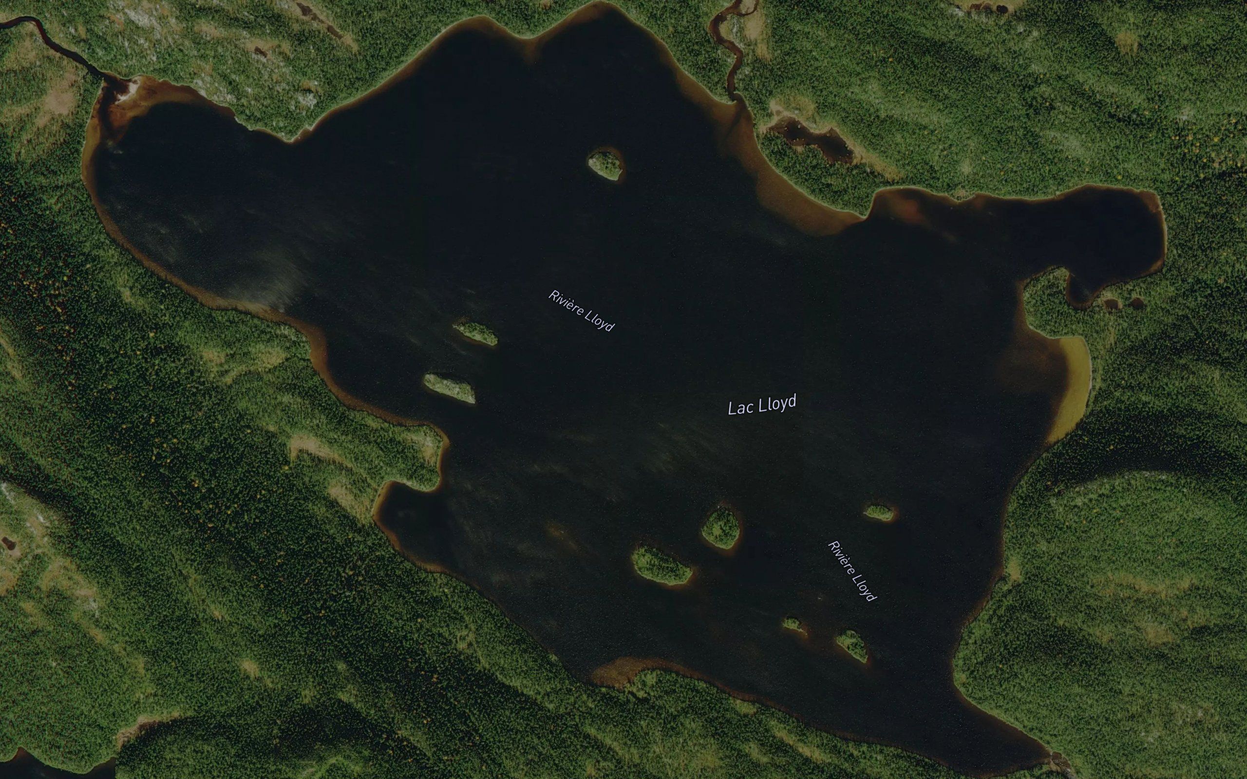 Lac Lloyd