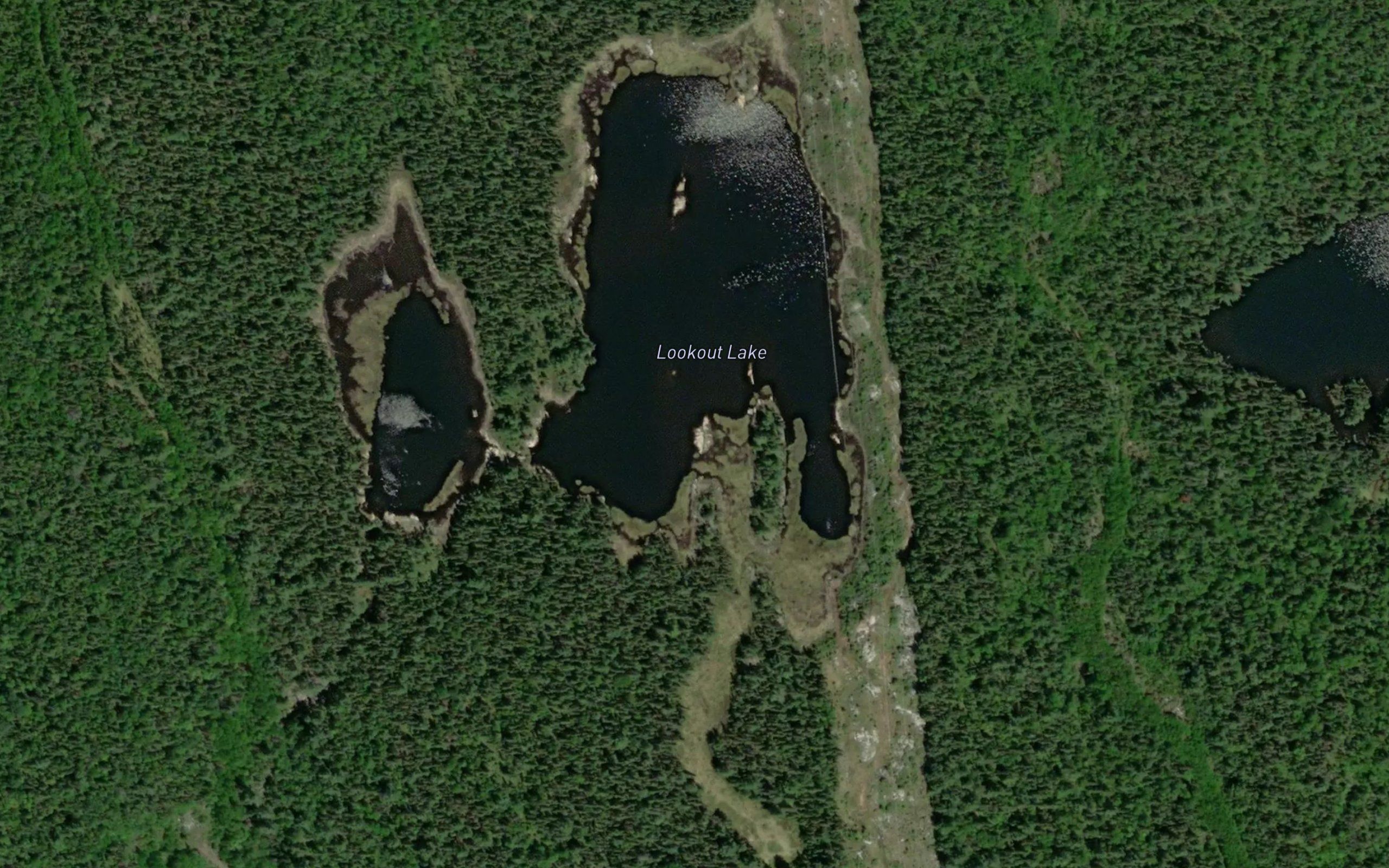 Lookout Lake