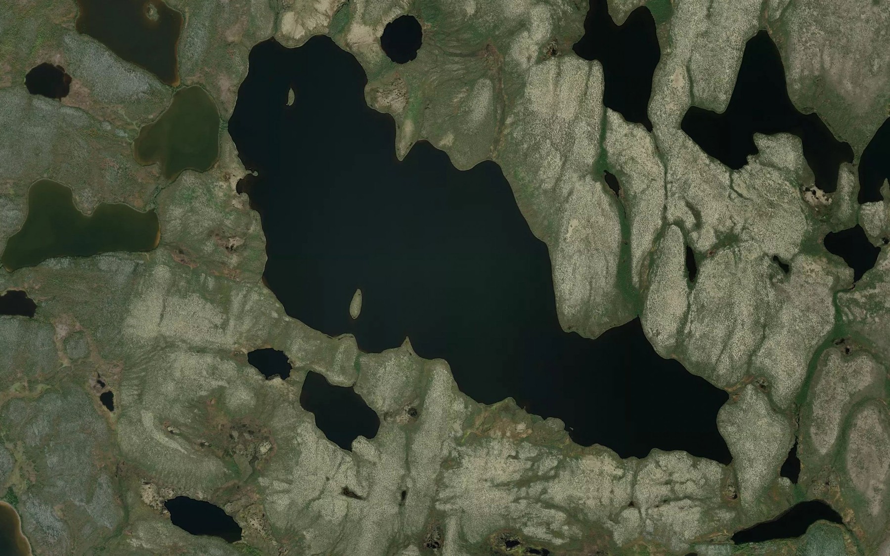 Satellite map of the Irving McDermott Lake