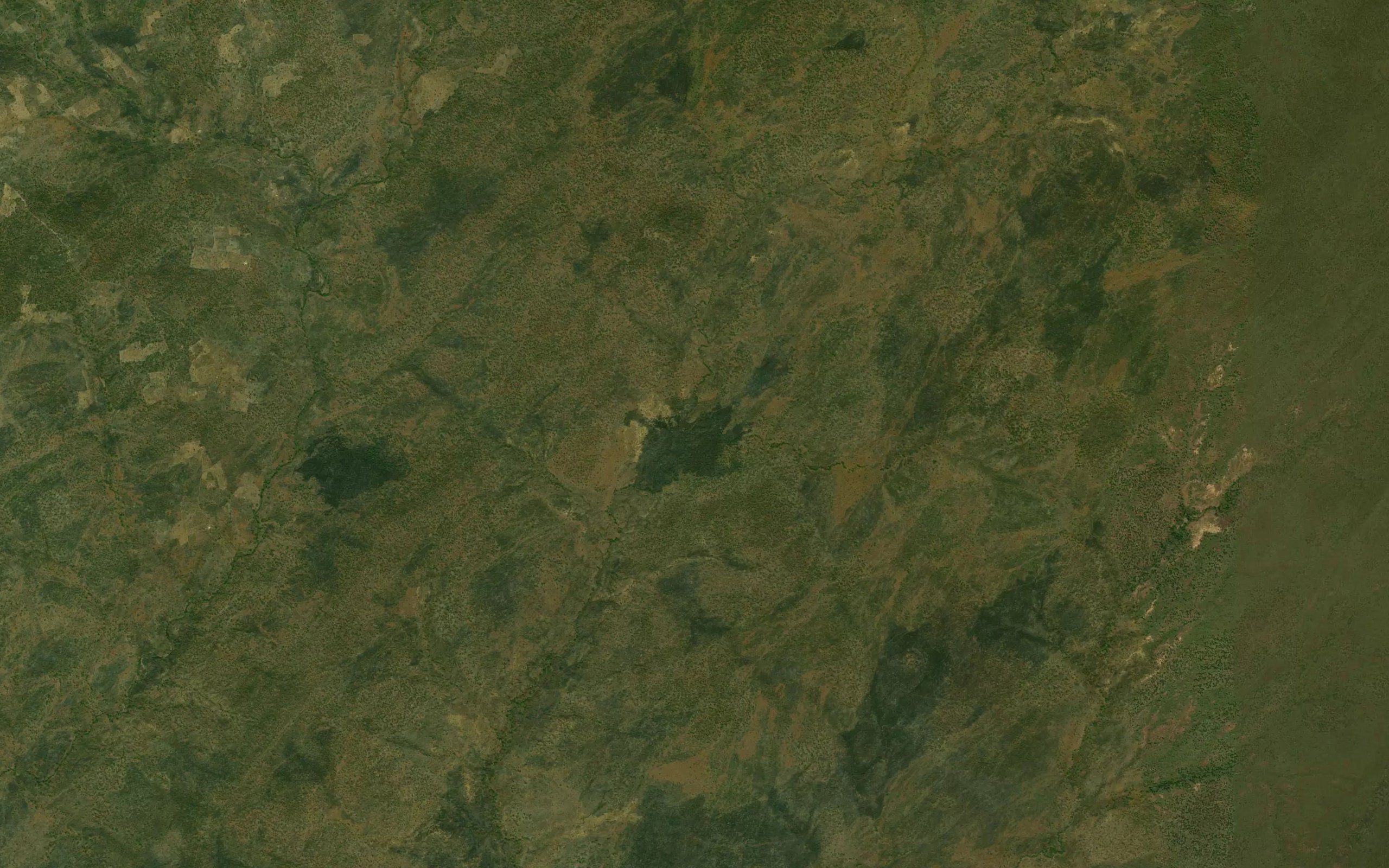Charipul