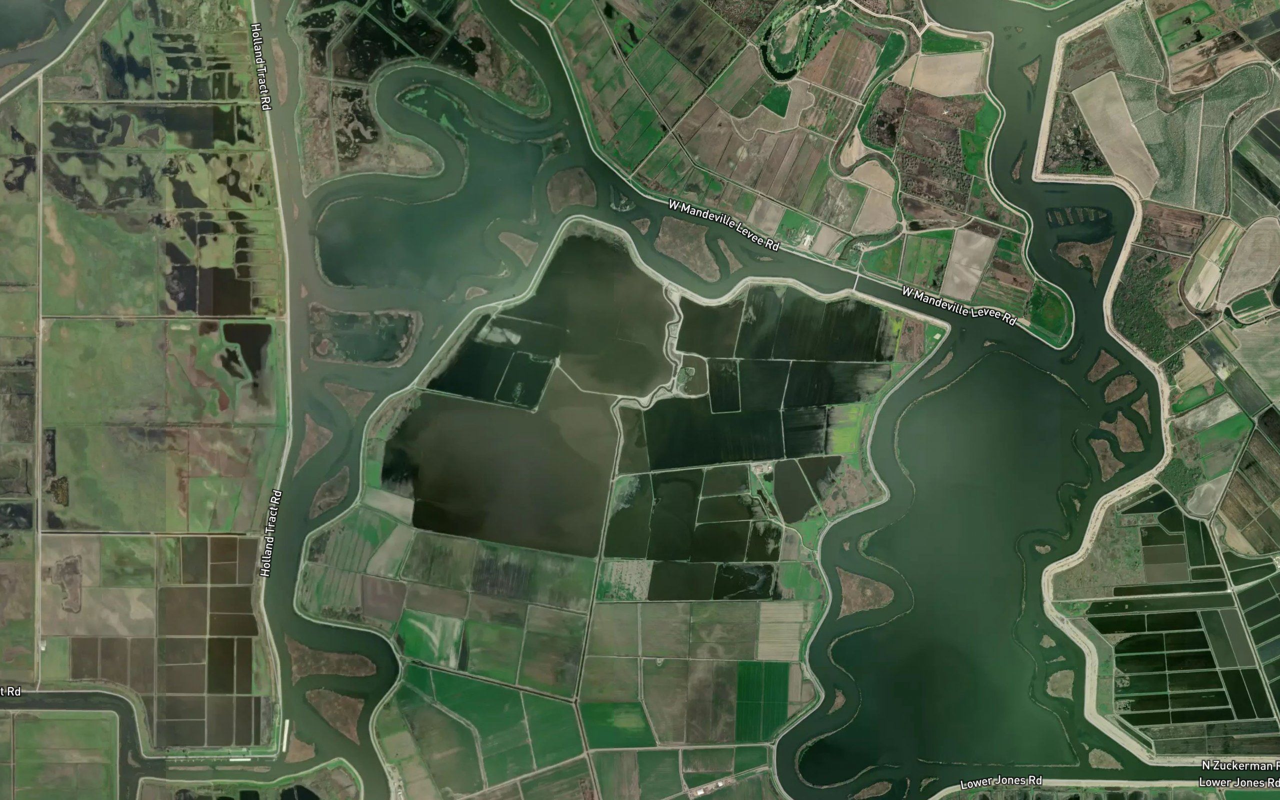 Youngs Slough