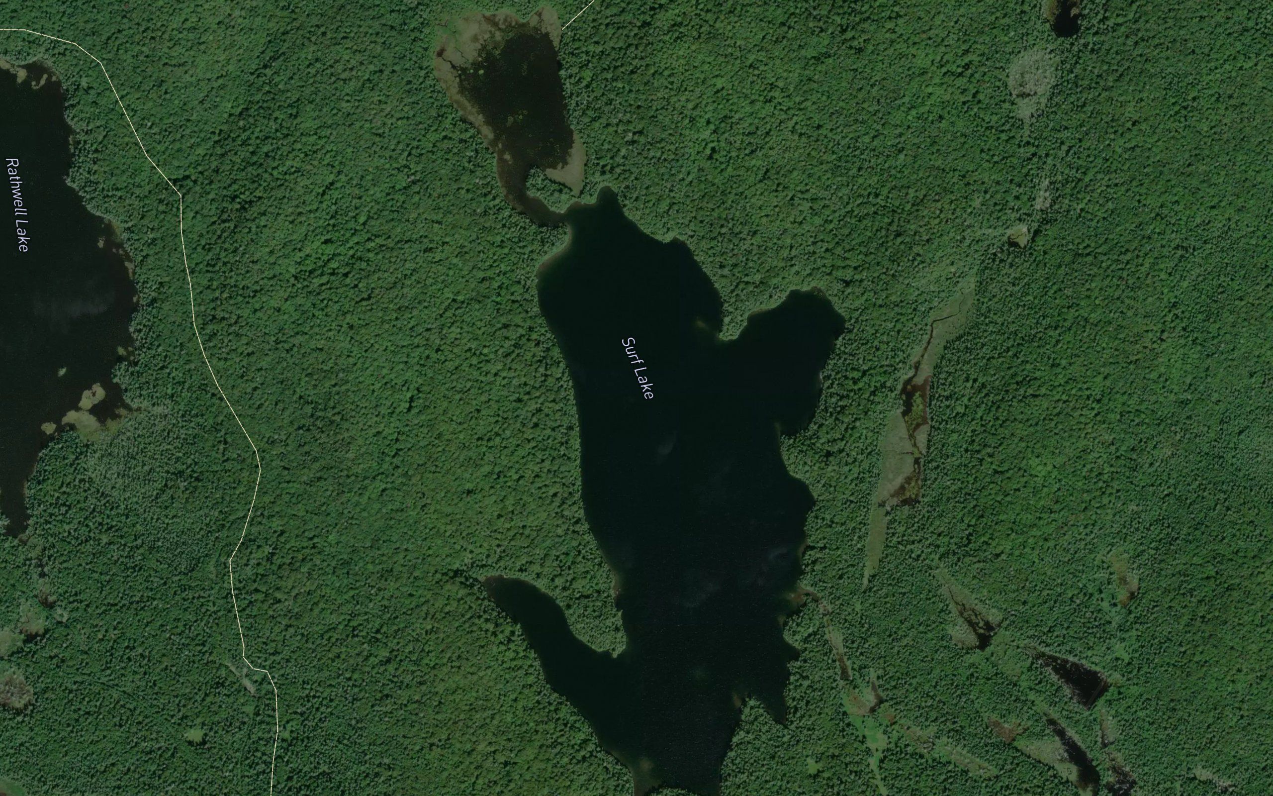 Surf Lake