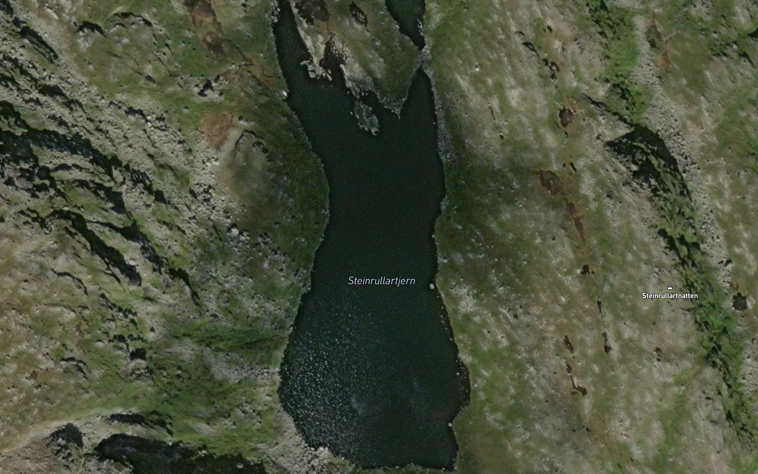 Steinrullartjern