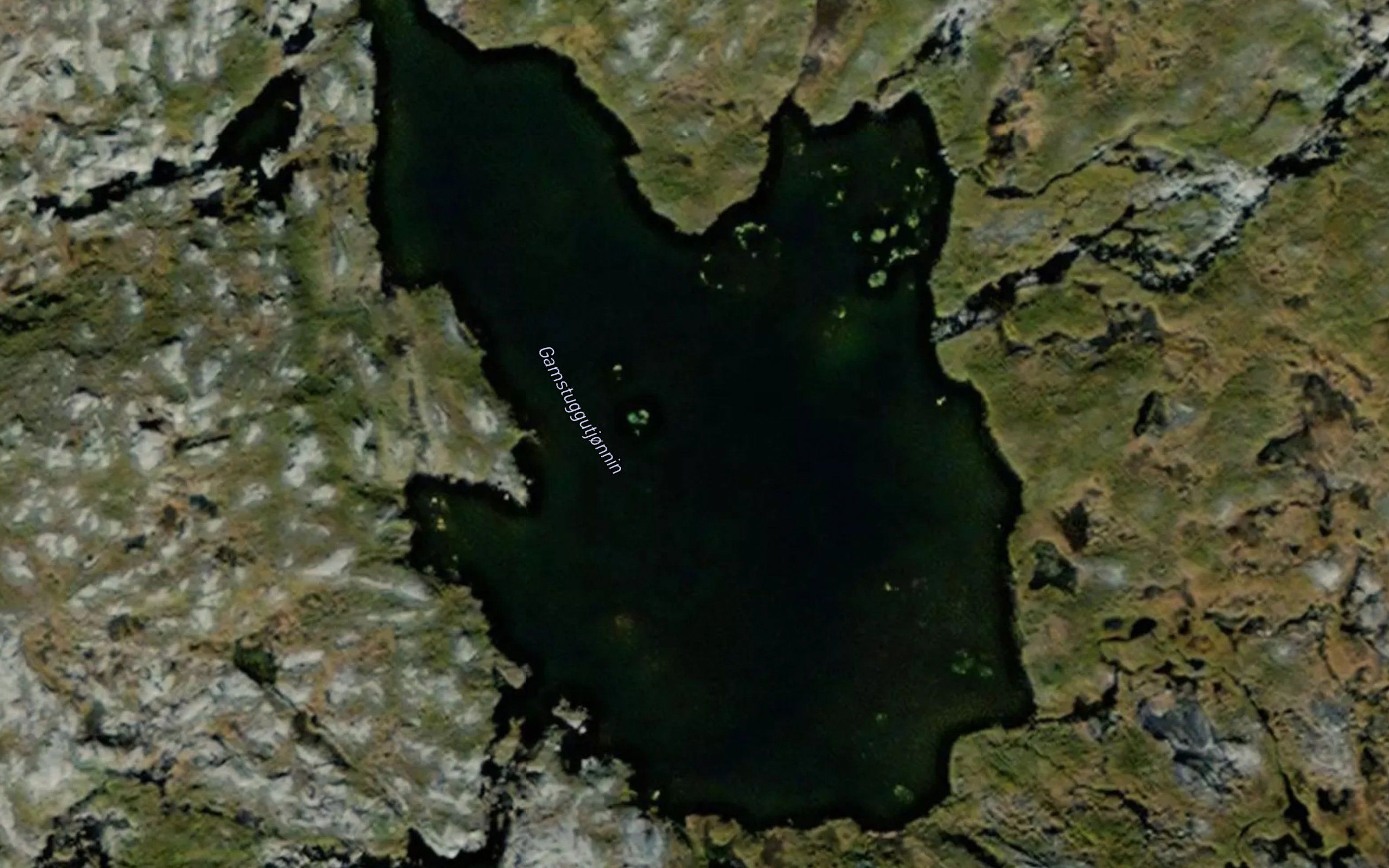 Gamstugutjornin