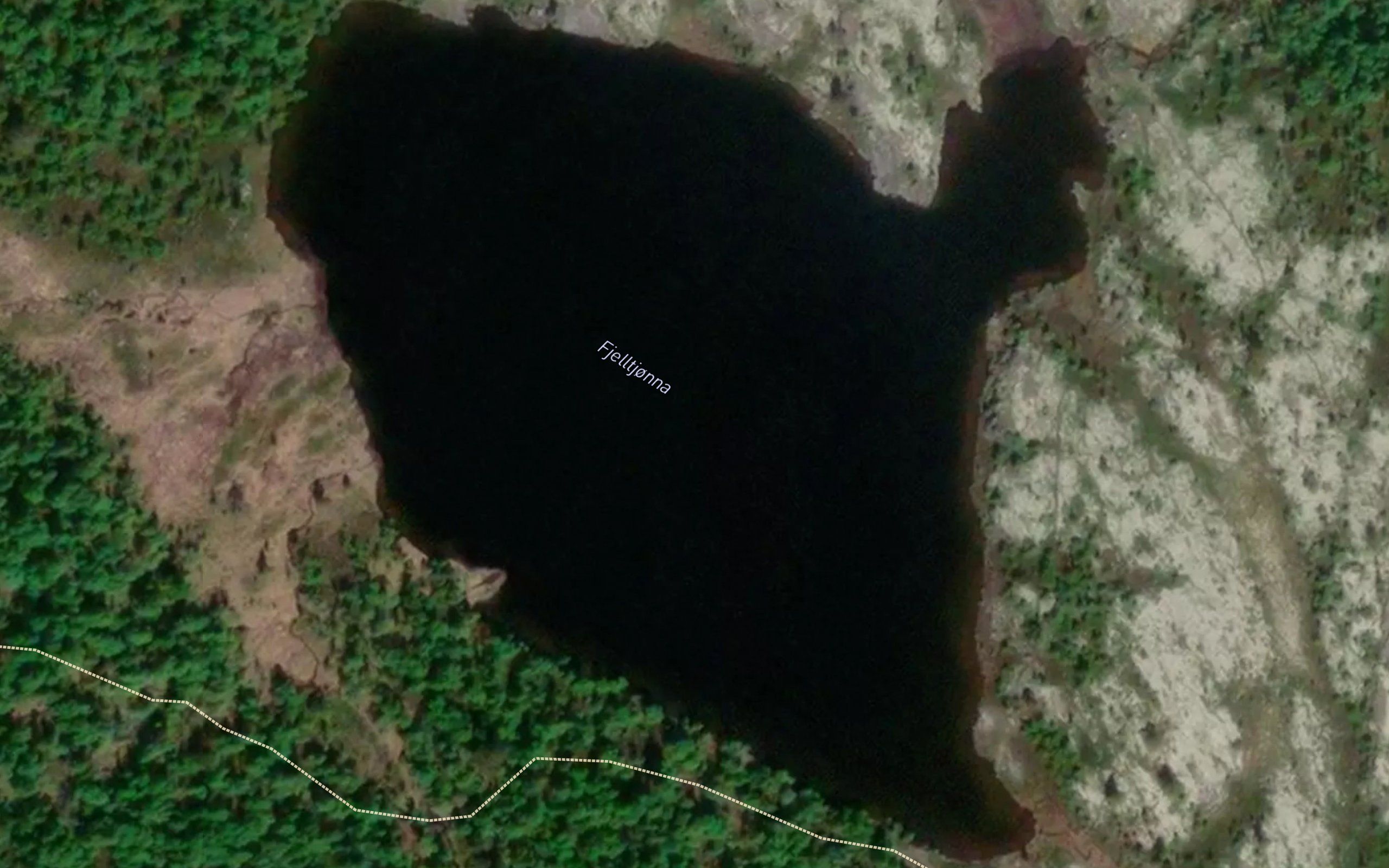Fjelltjonna