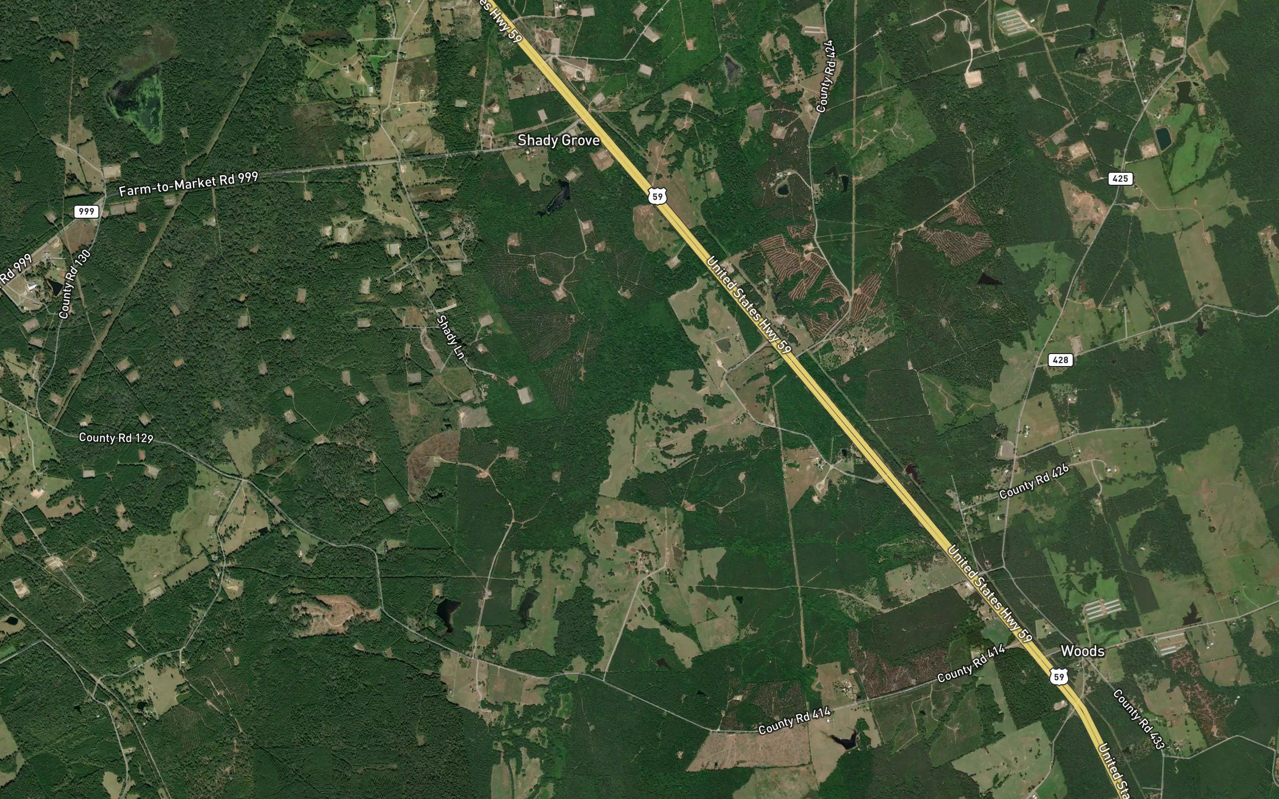 Moore Branch