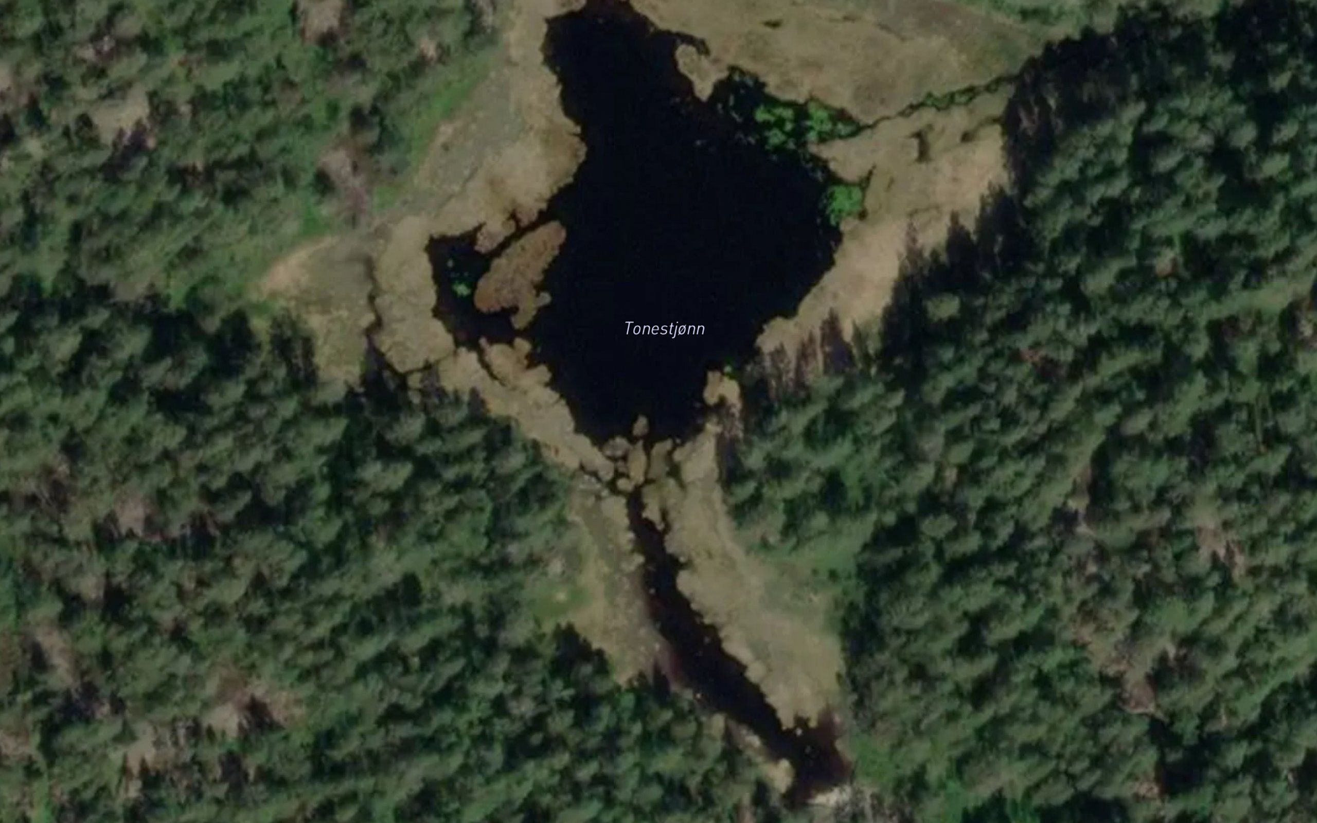 Tonetjorn