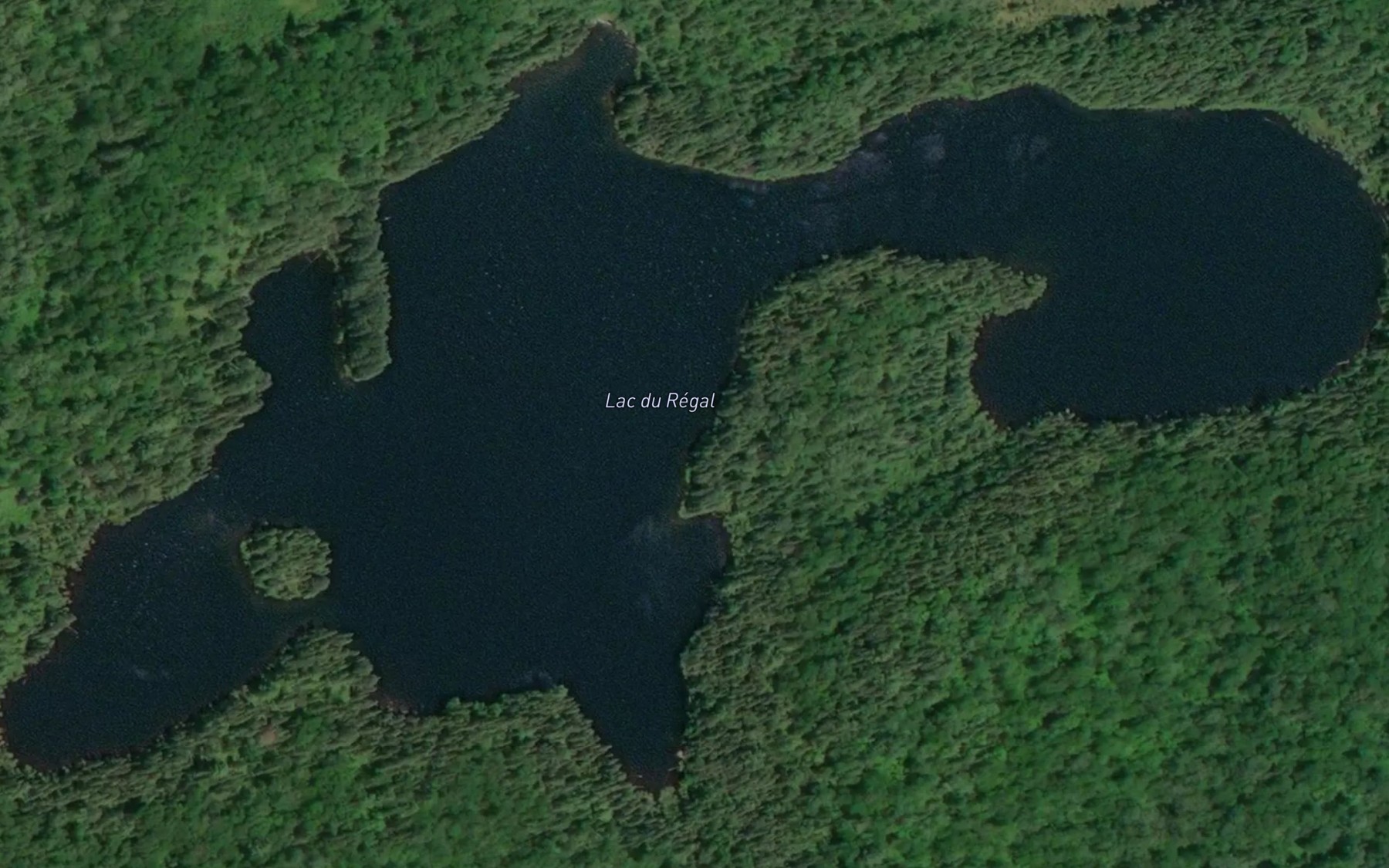 Satellite map of the Lac du Regal