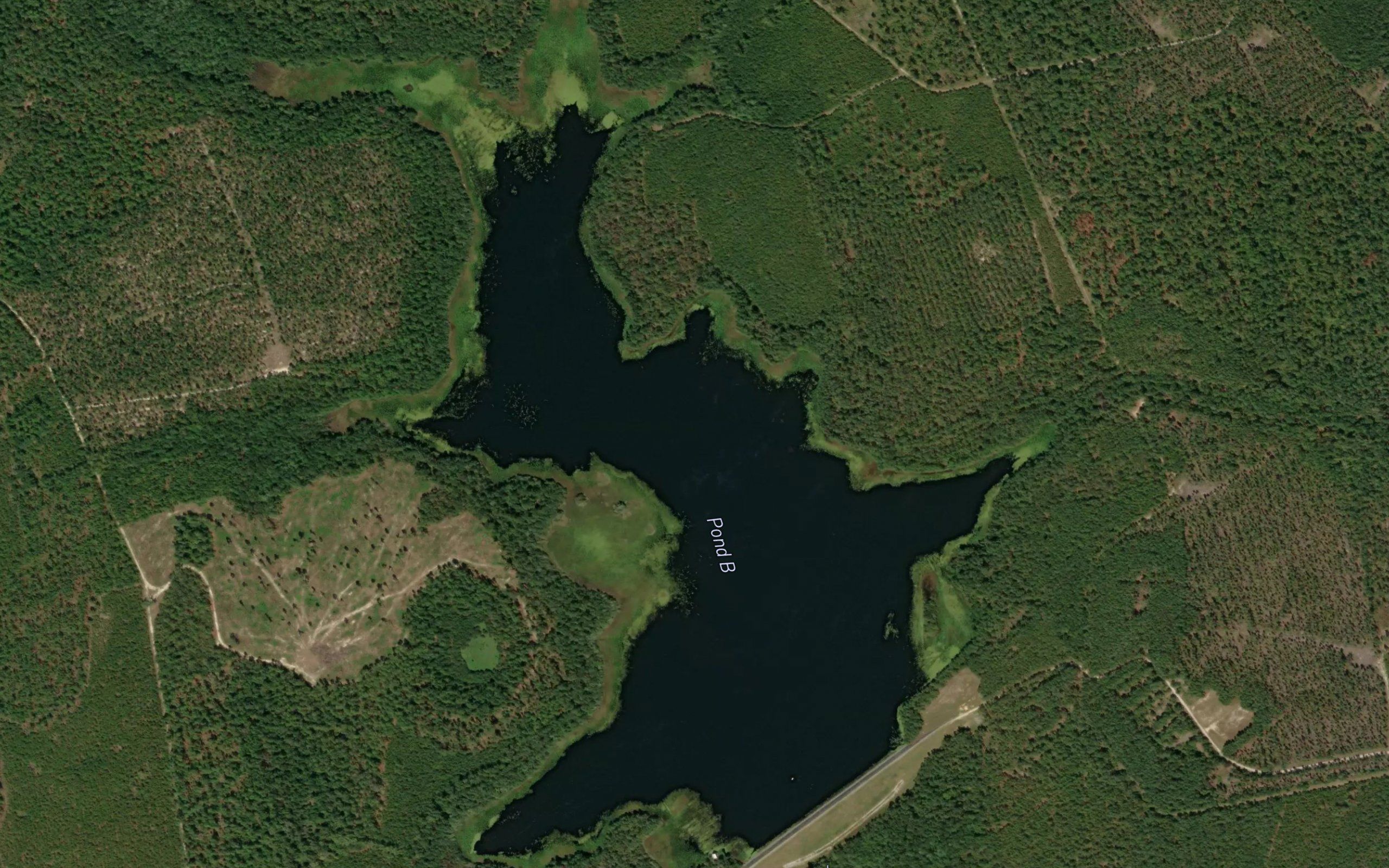 Pond B