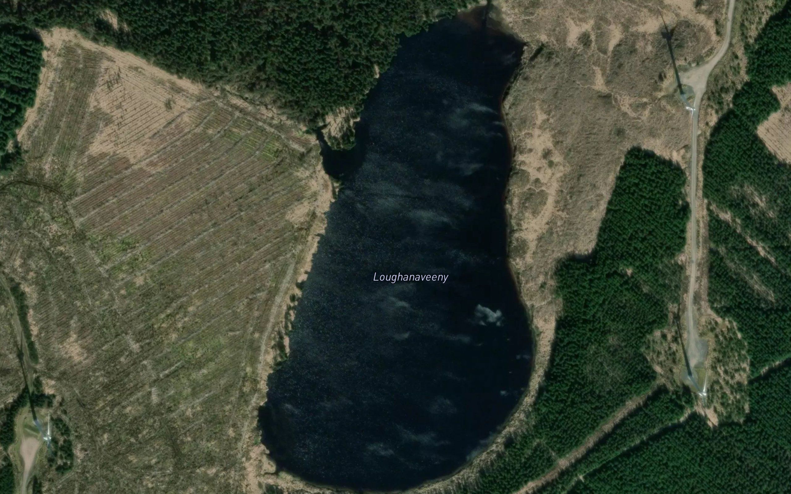 Loughanaveeny
