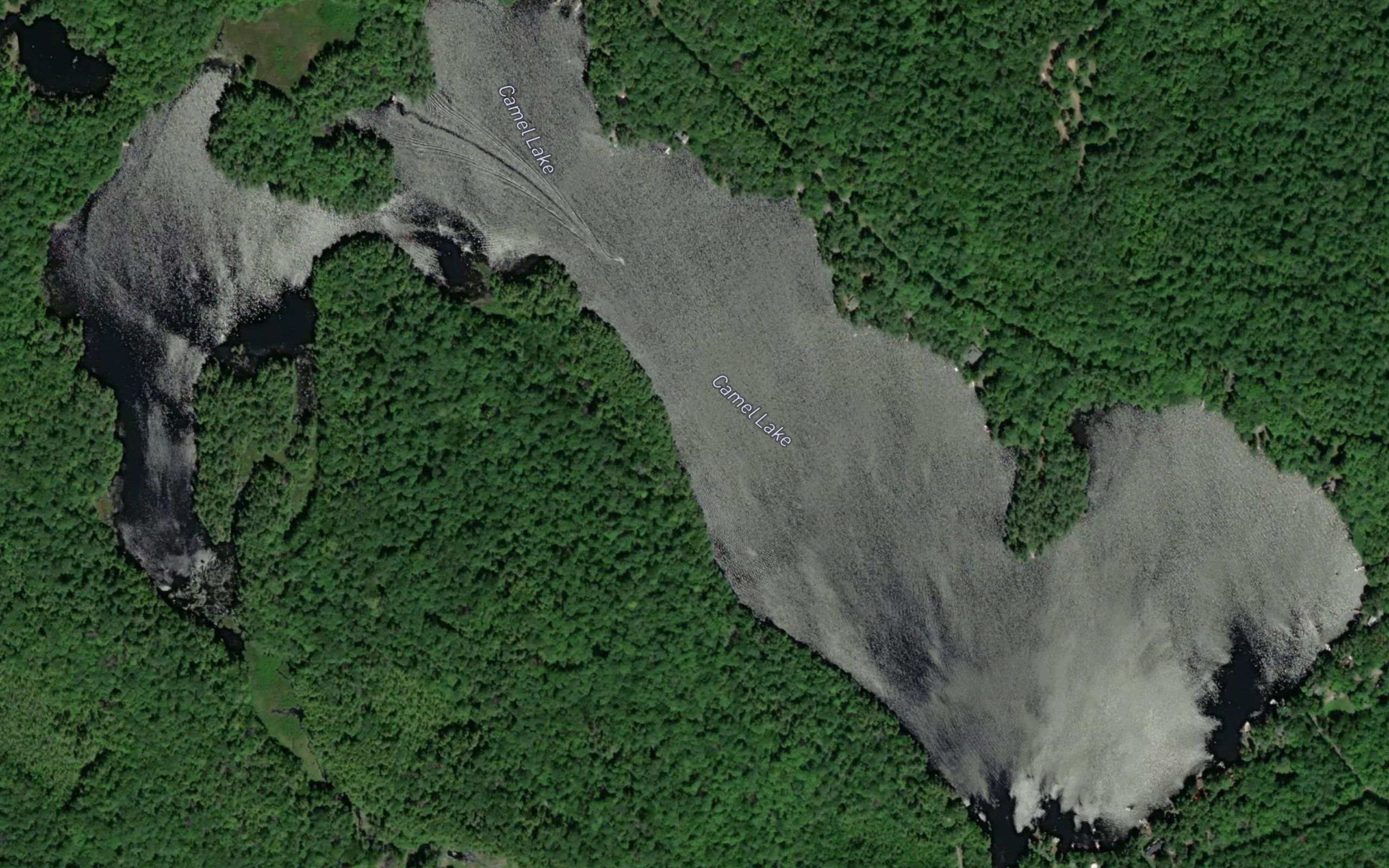Camel Lake