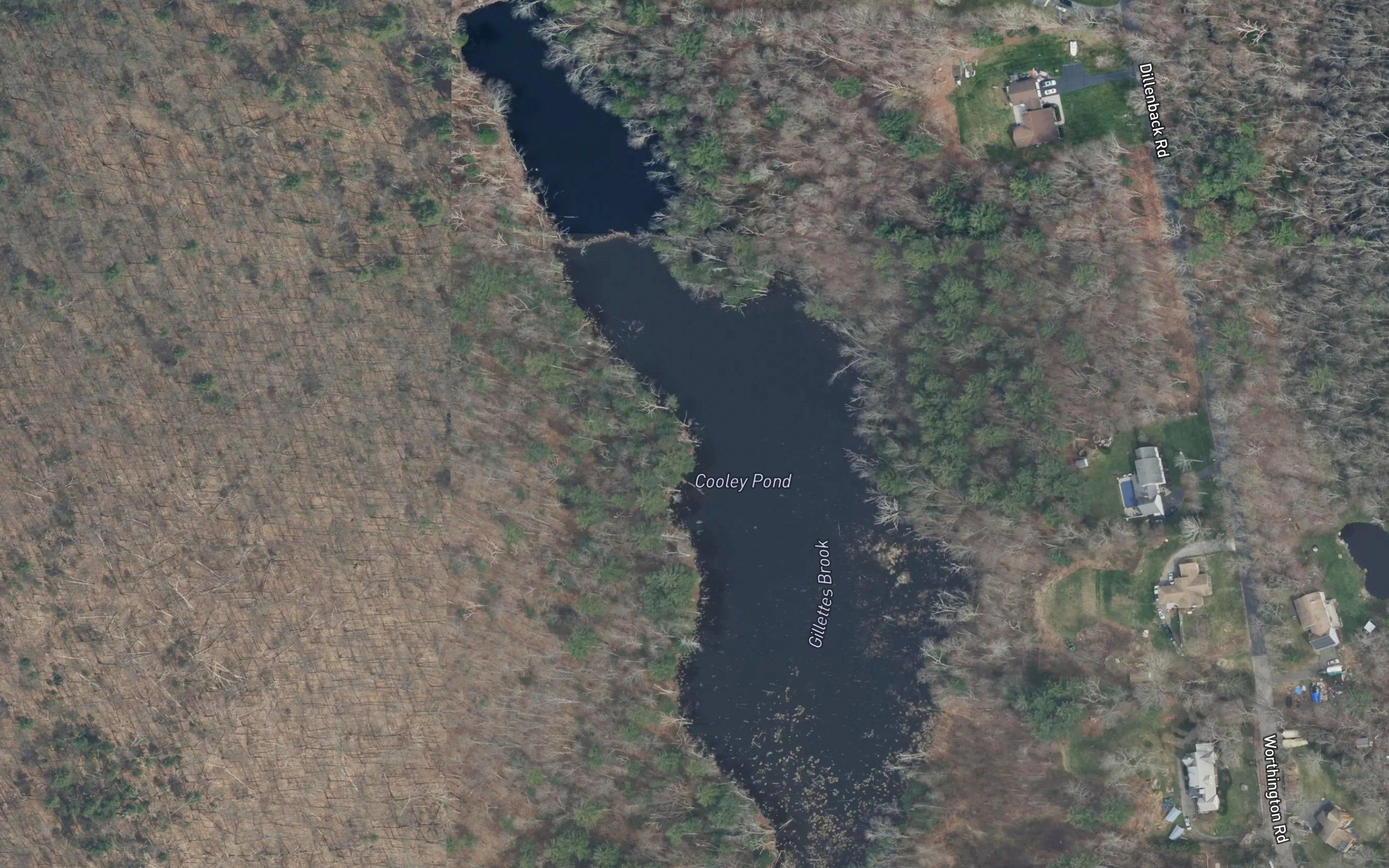 Cooley Pond