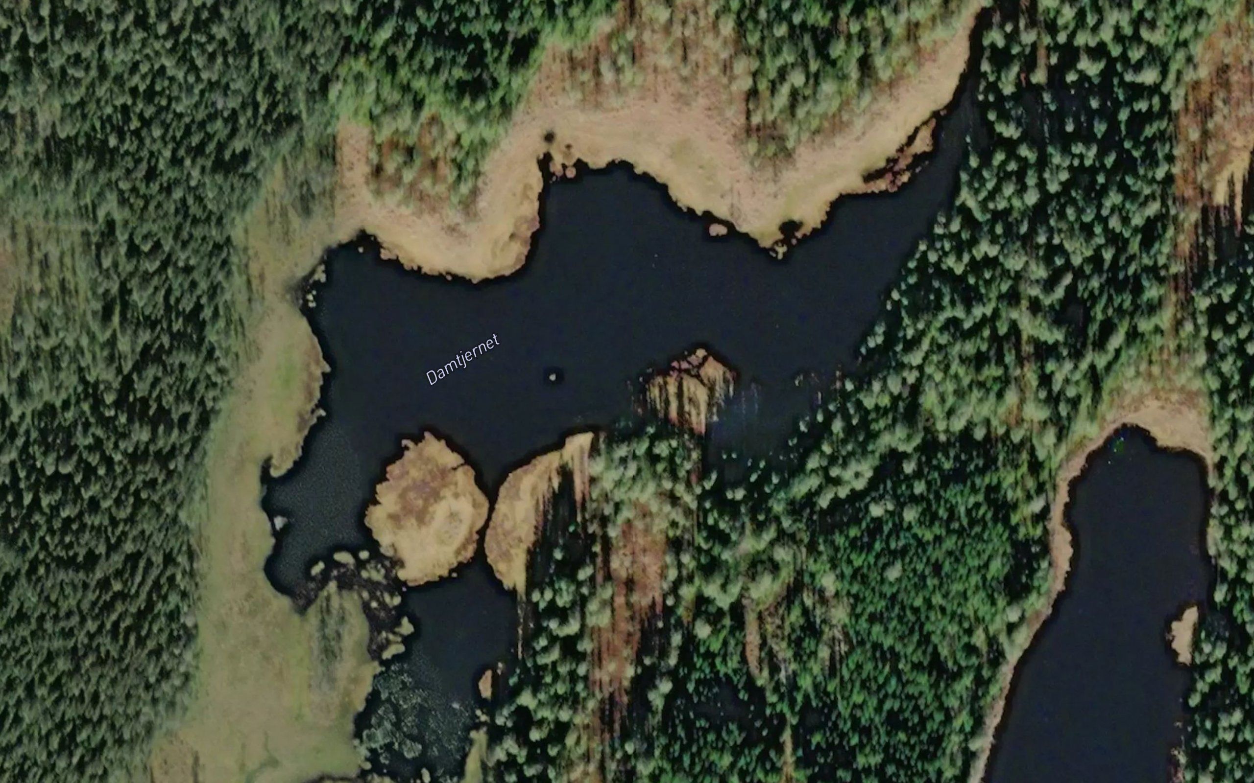 Damtjernet