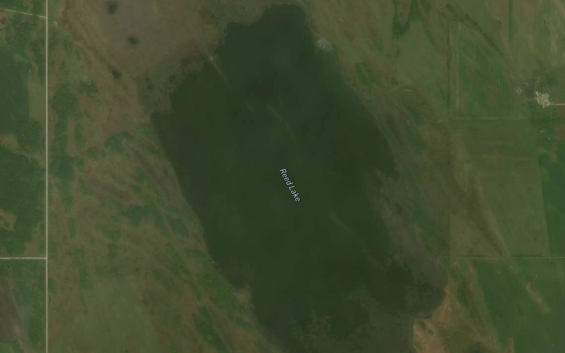 Satellite map of the Reed Lake