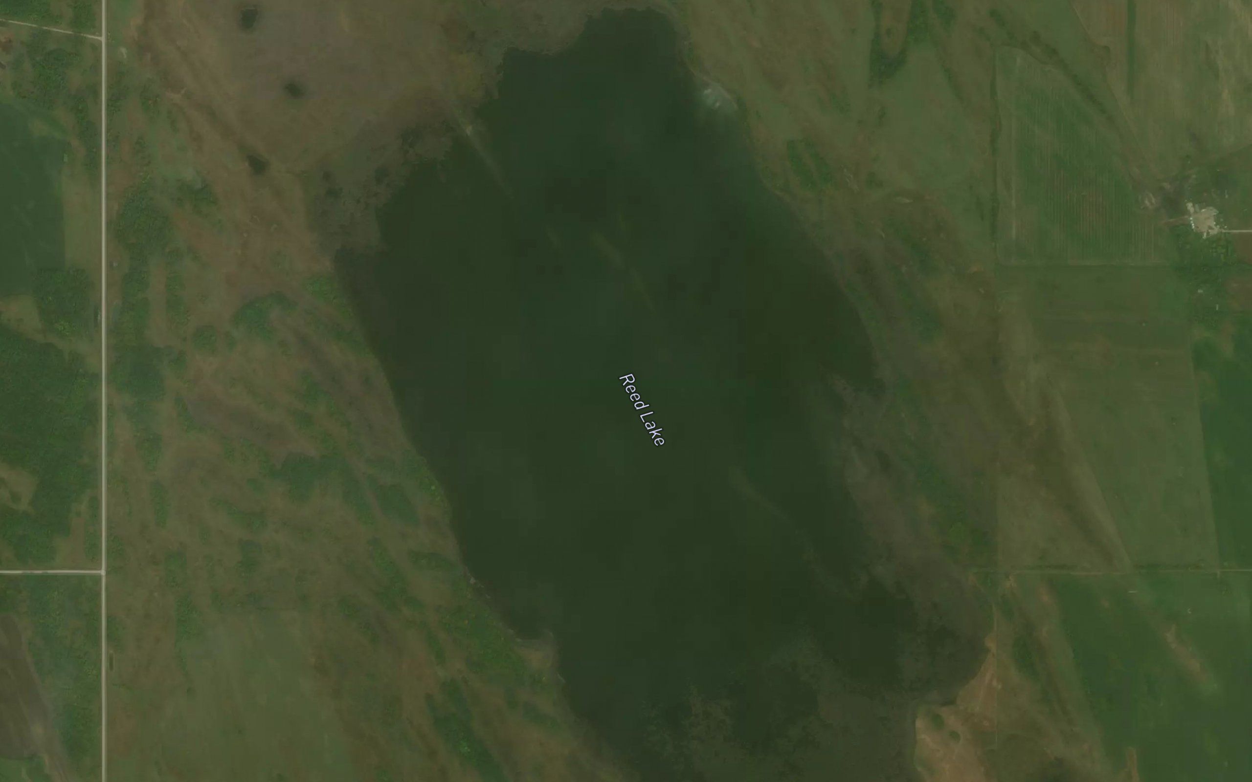 Reed Lake
