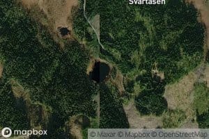 Svartastjernet