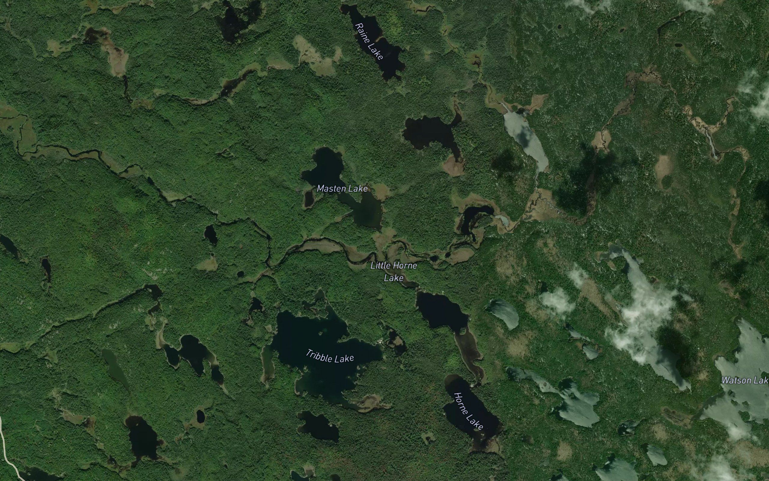 Browne Creek