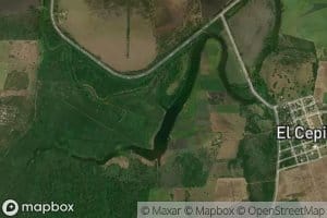 Estero Paite