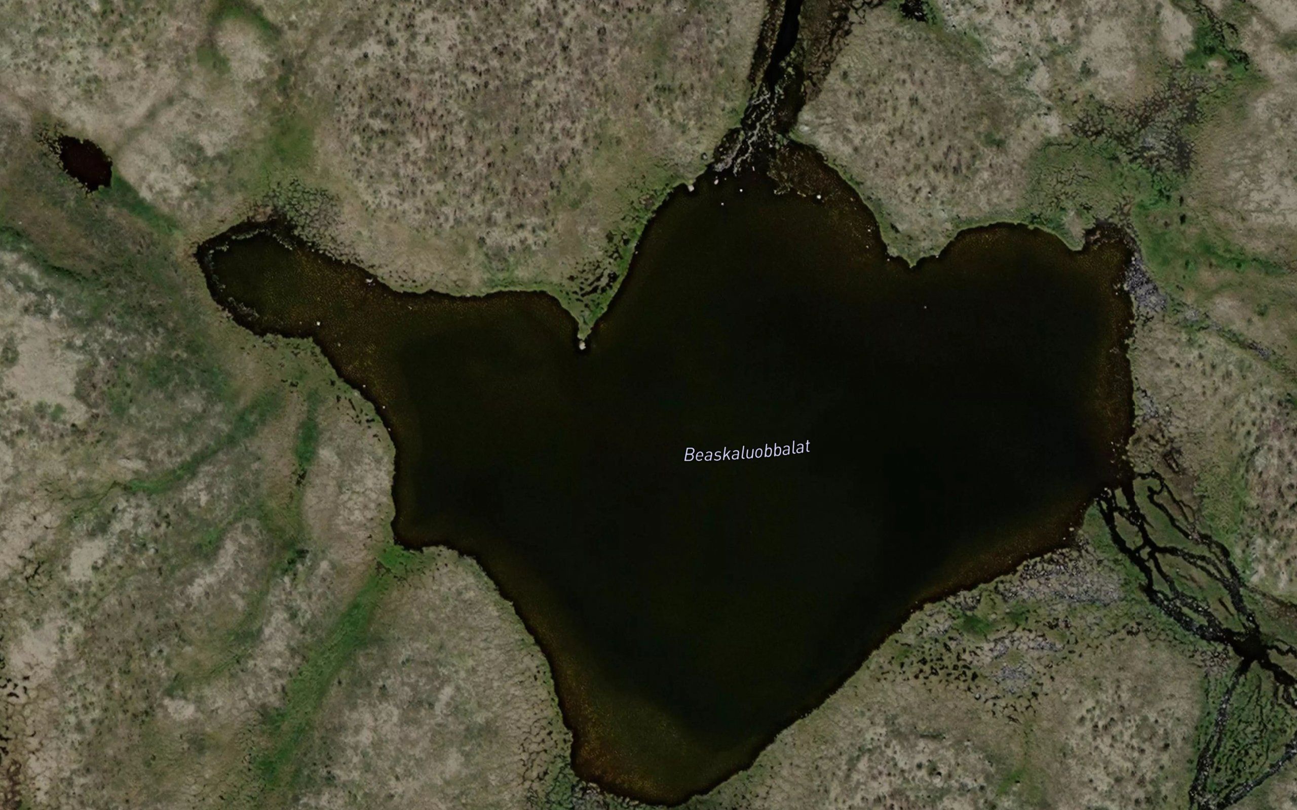 Baeskaluobbalat