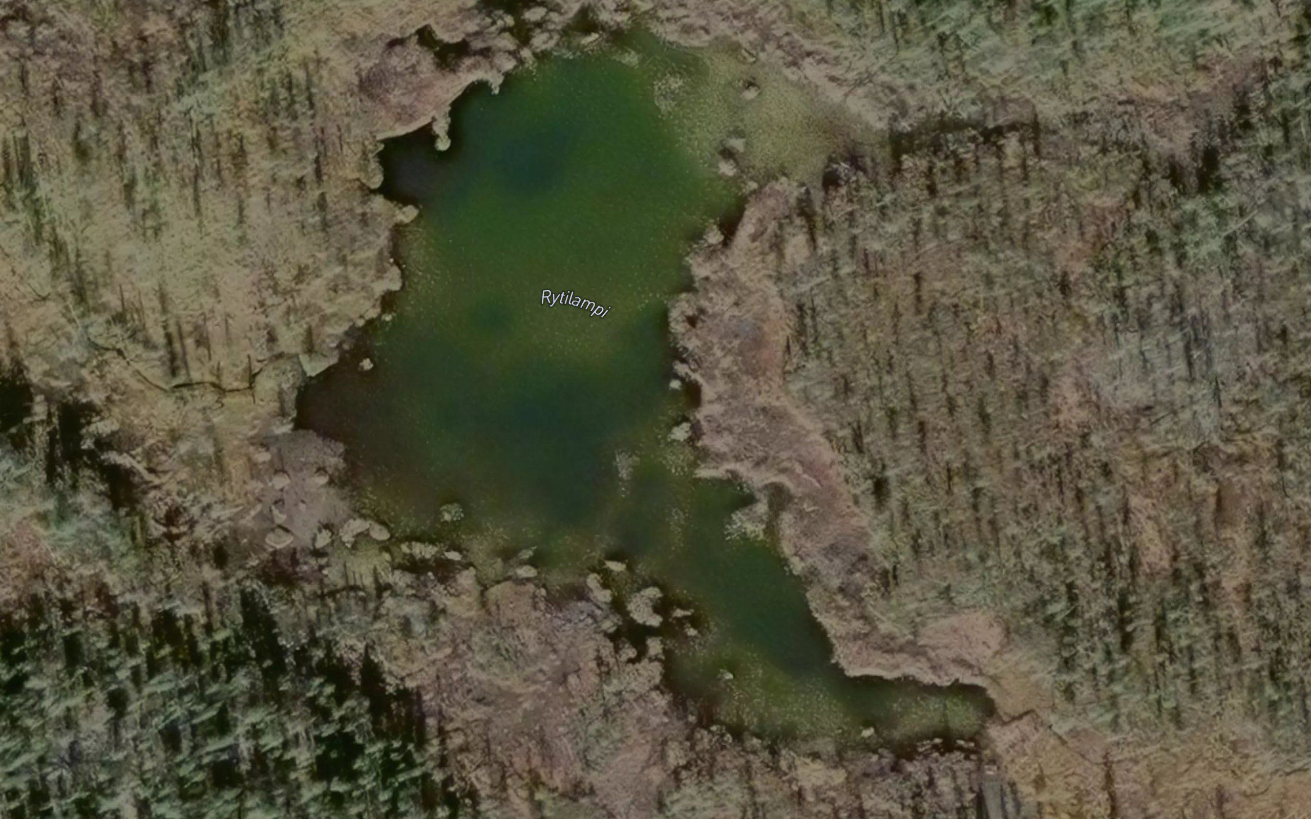 Rytilampi