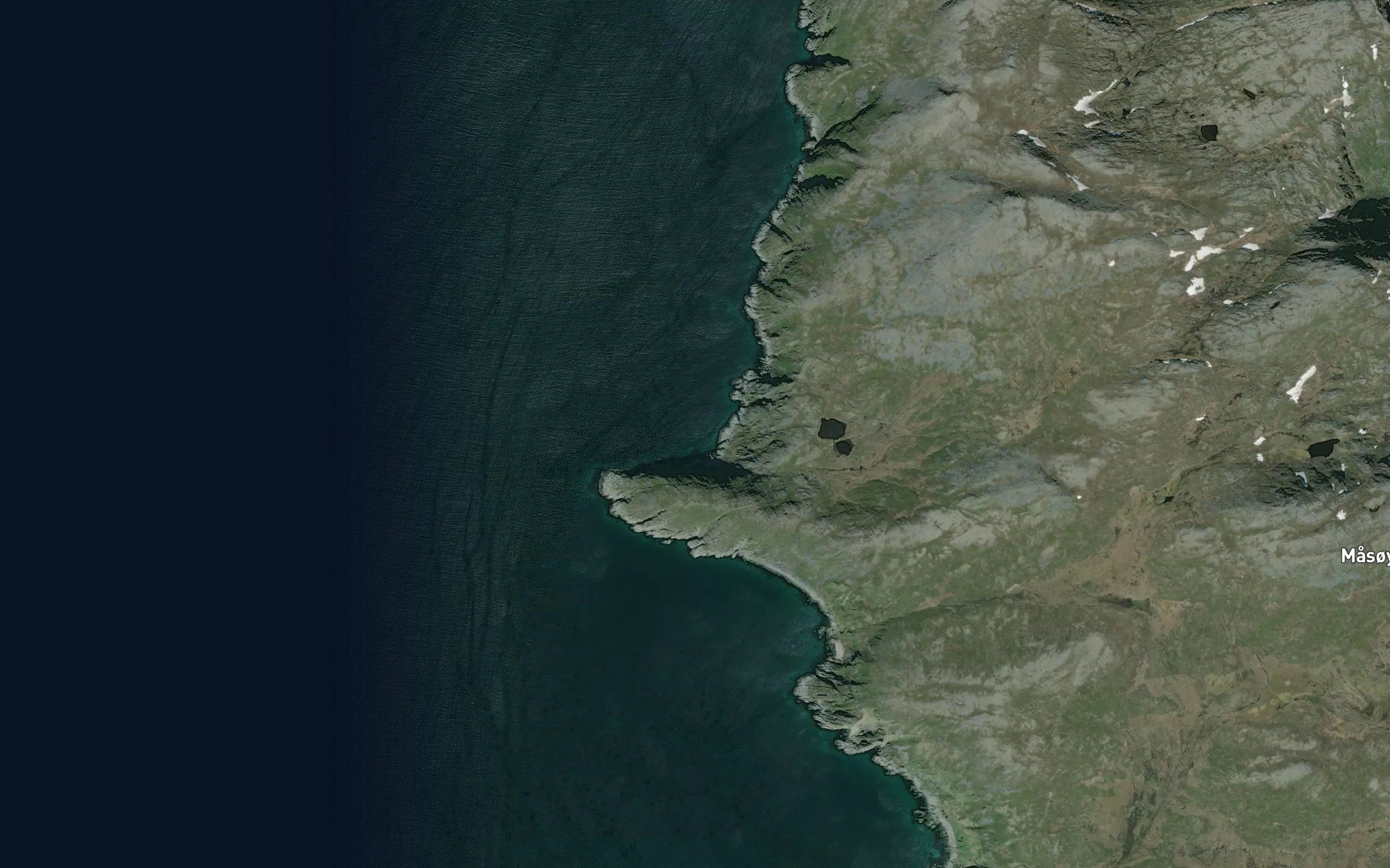 Elvevika