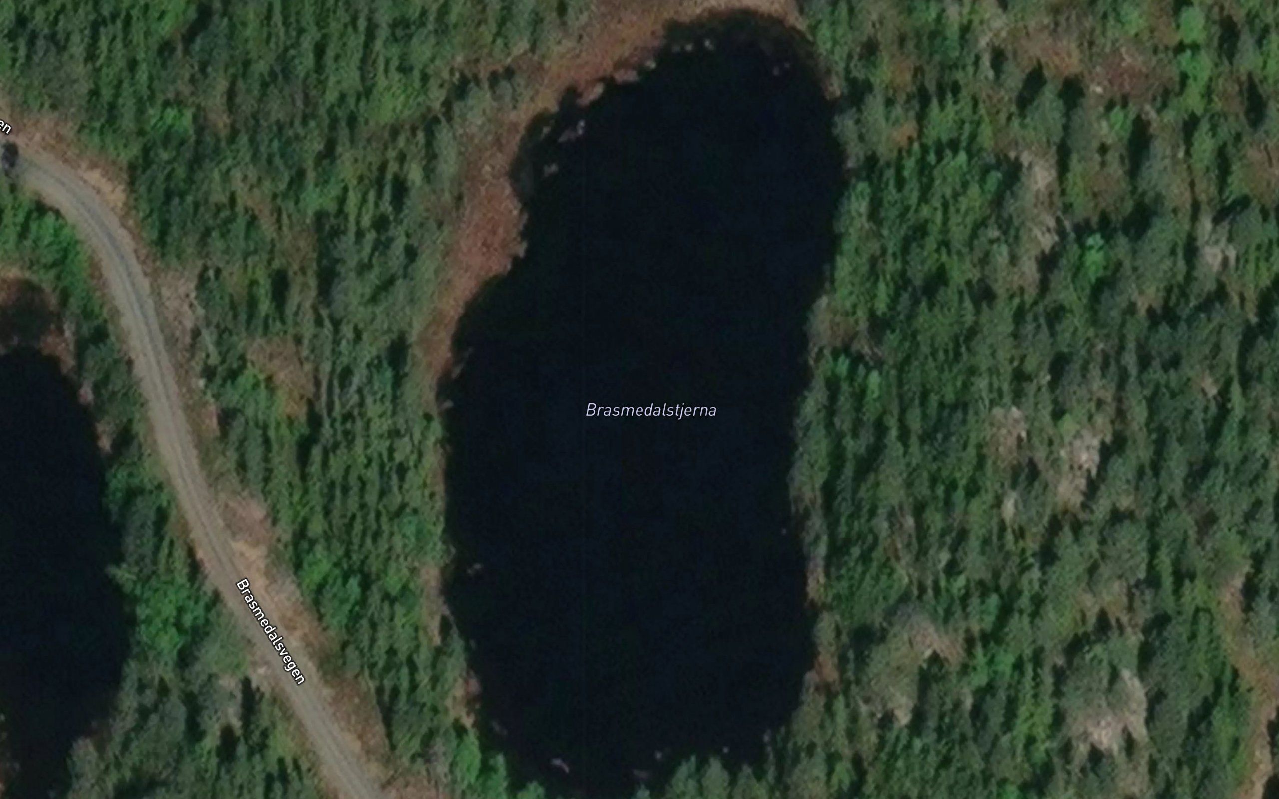 Brasmedalstjerna