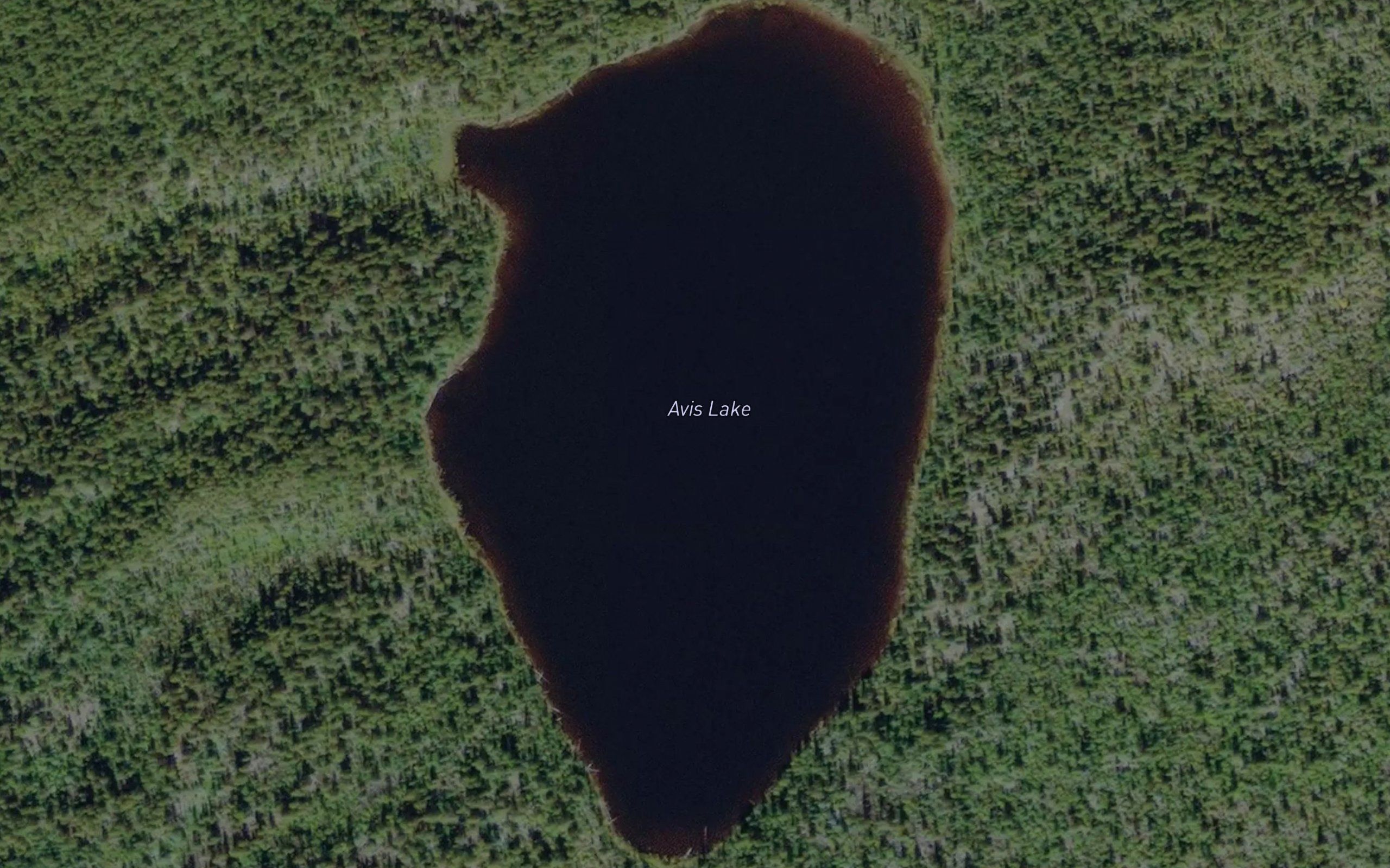 Avis Lake