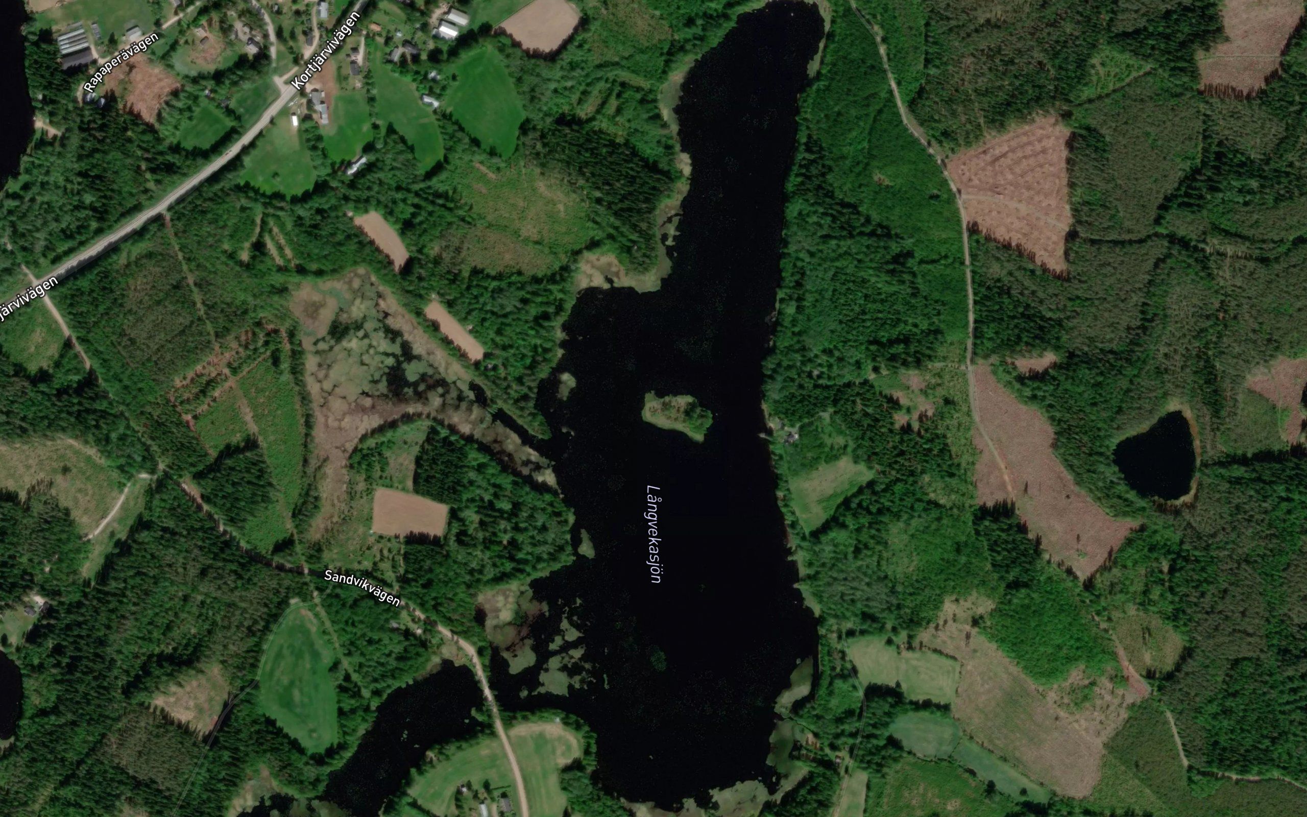 Lerviken