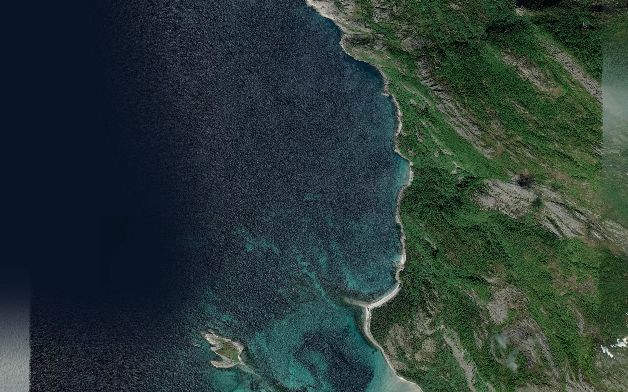 Tunvikflua