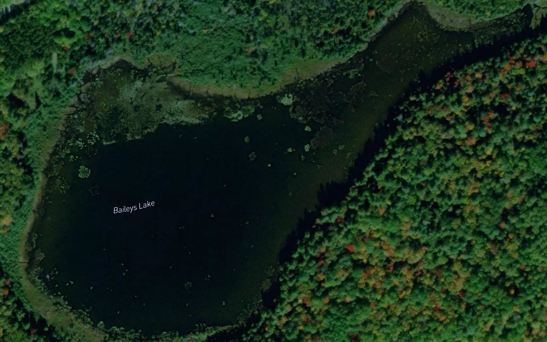 Satellite map of the Baileys Lake