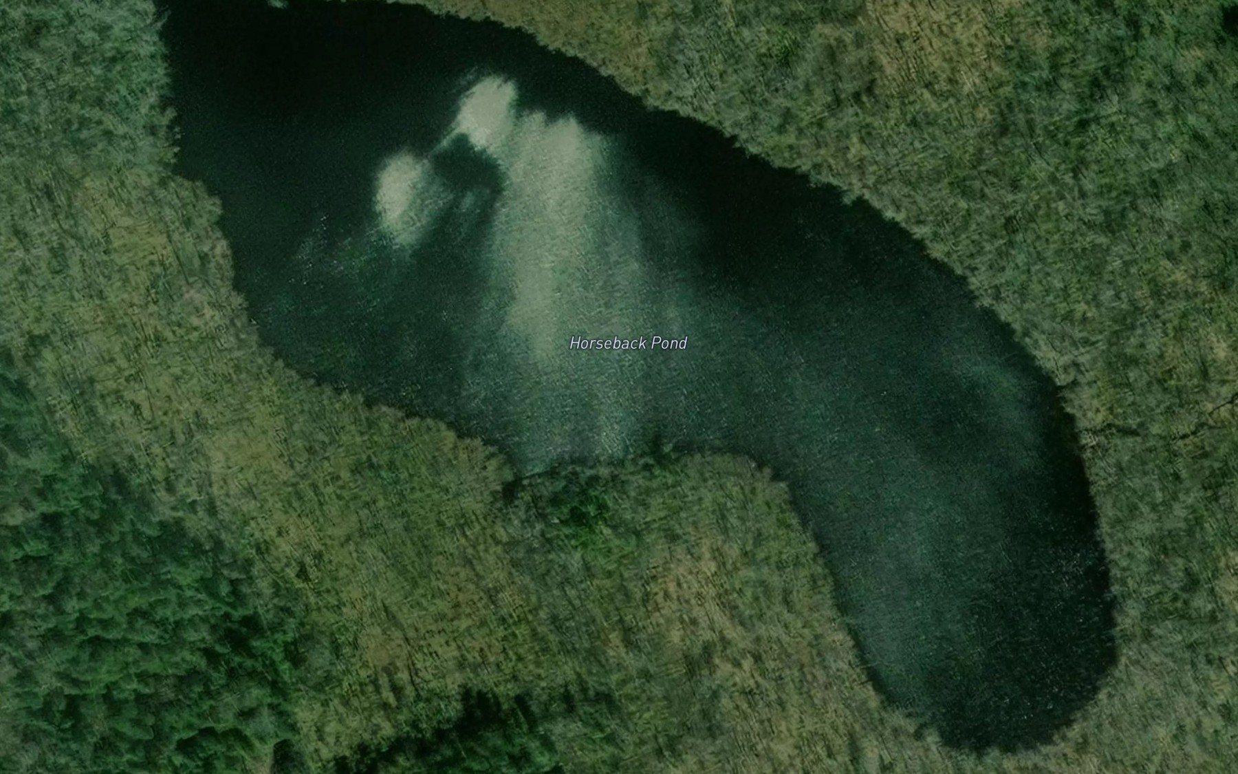 Satellite map of the Horseback Pond