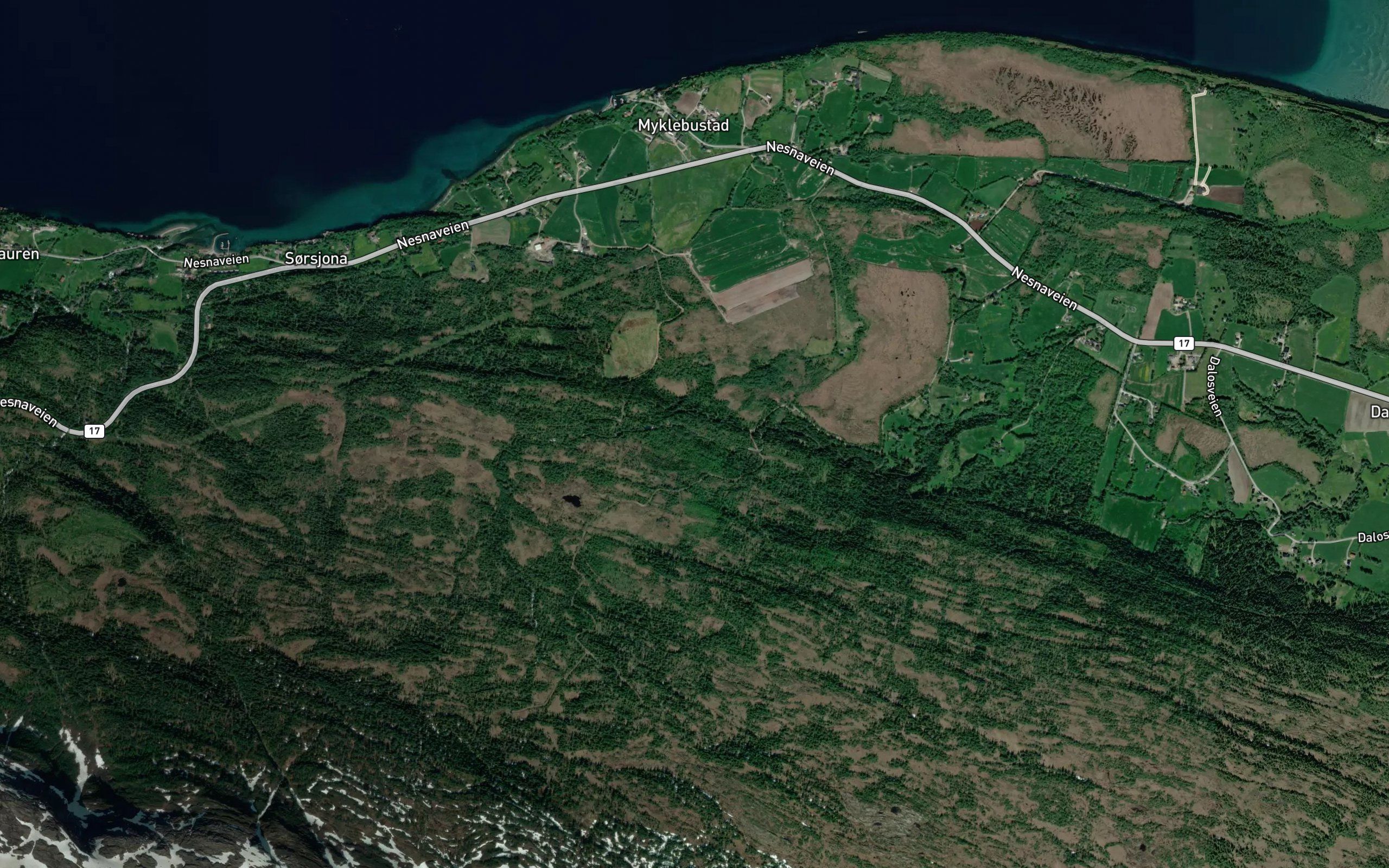Daloselva