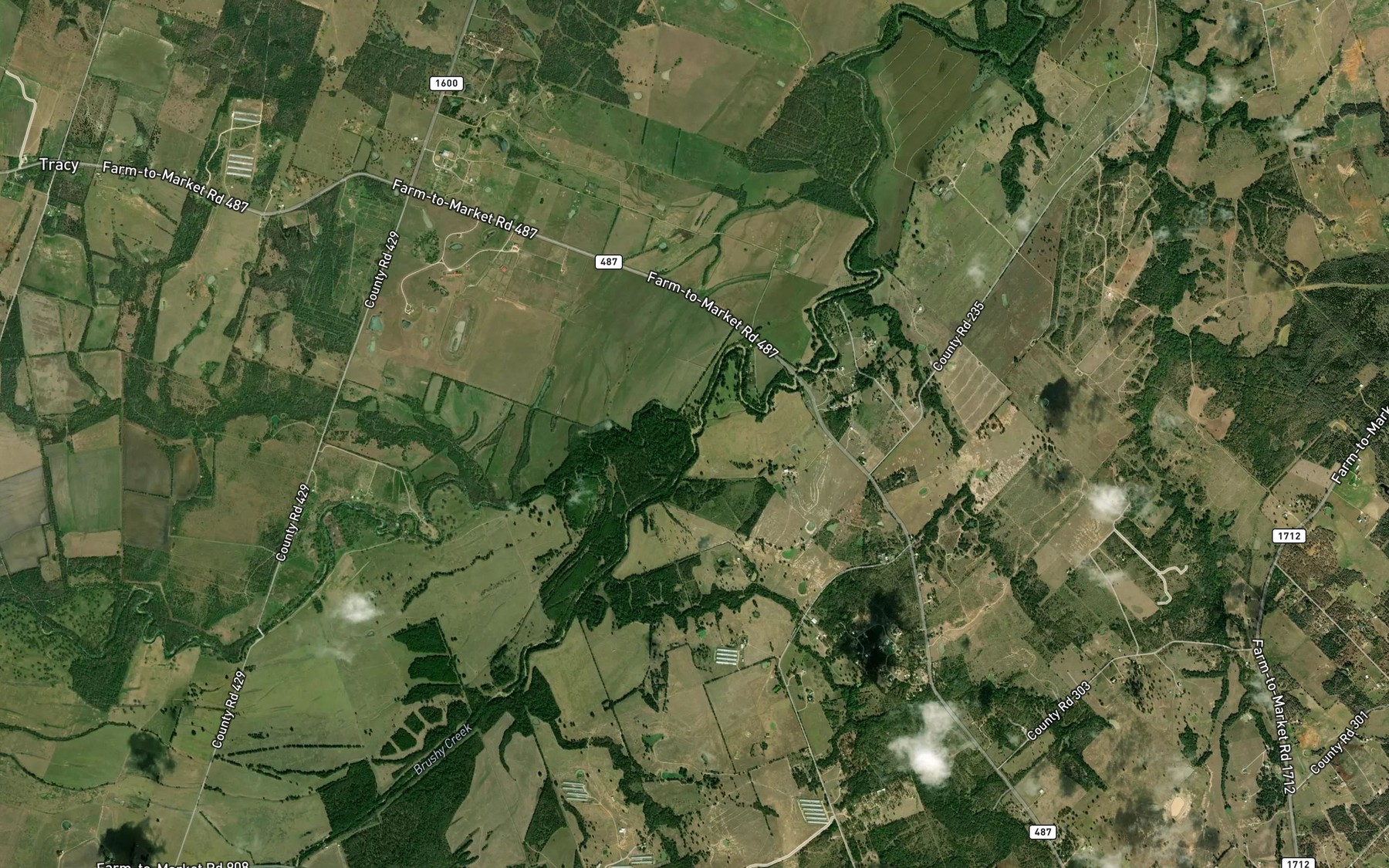 Satellite map of the Brushy Creek