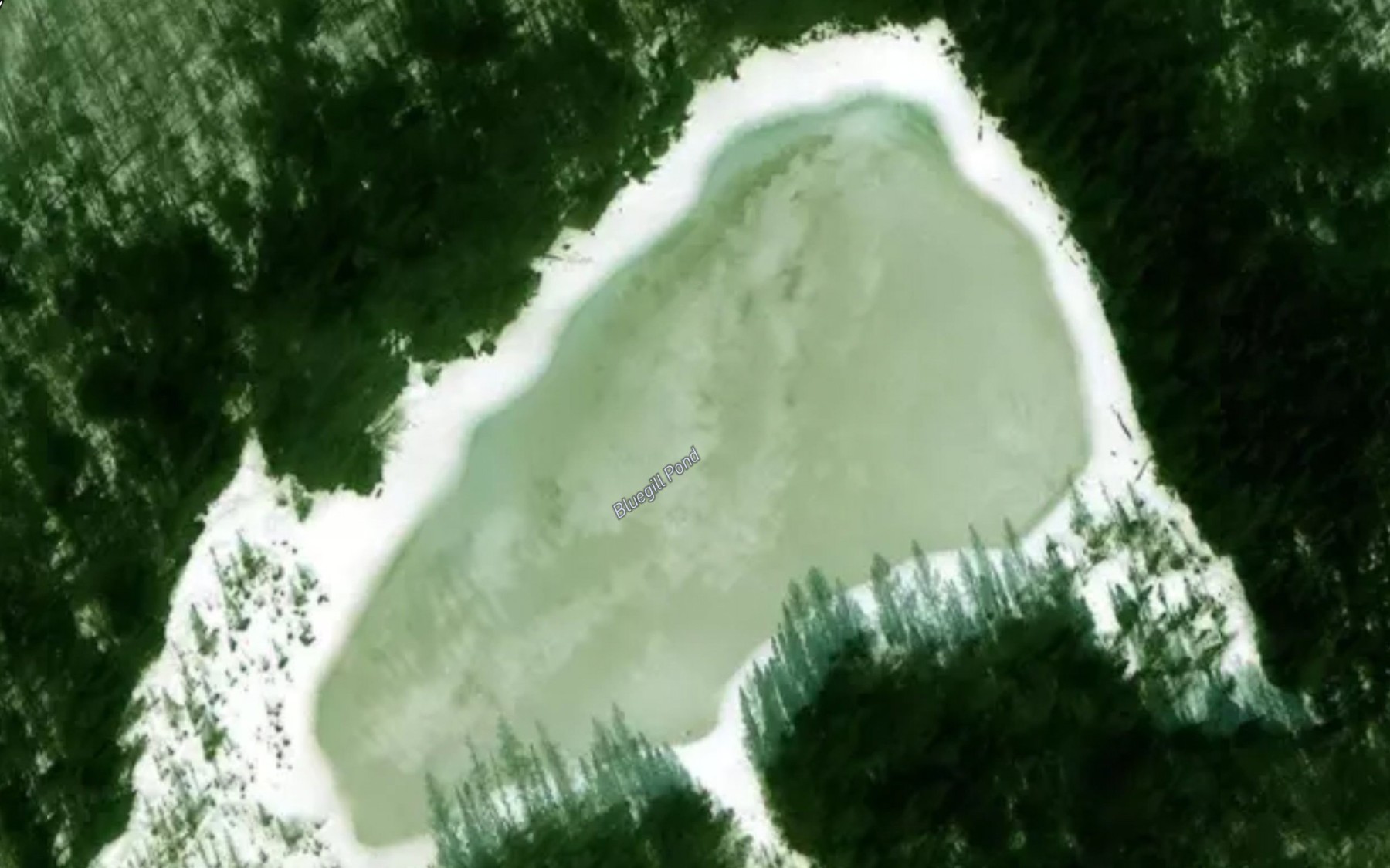 Satellite map of the Bluegill Pond