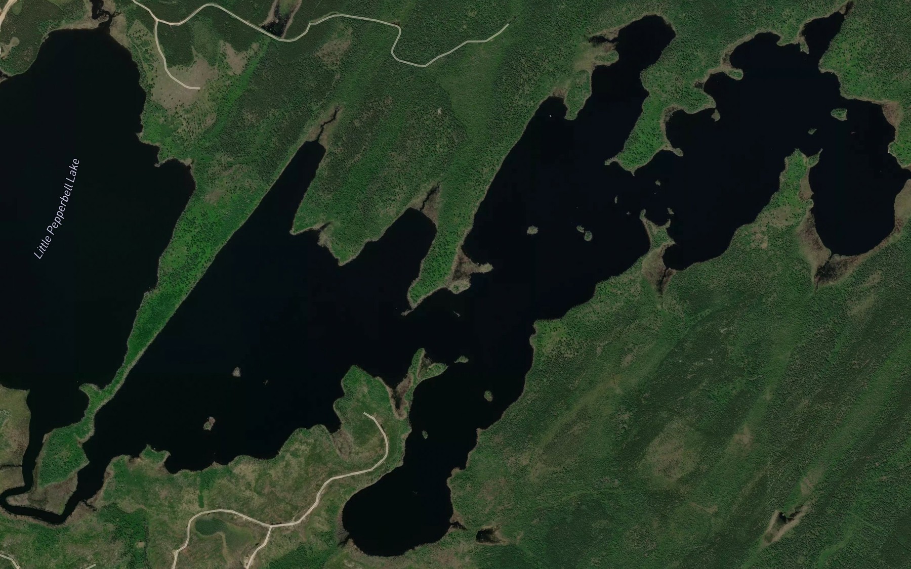Satellite map of the Pepperbell Lake