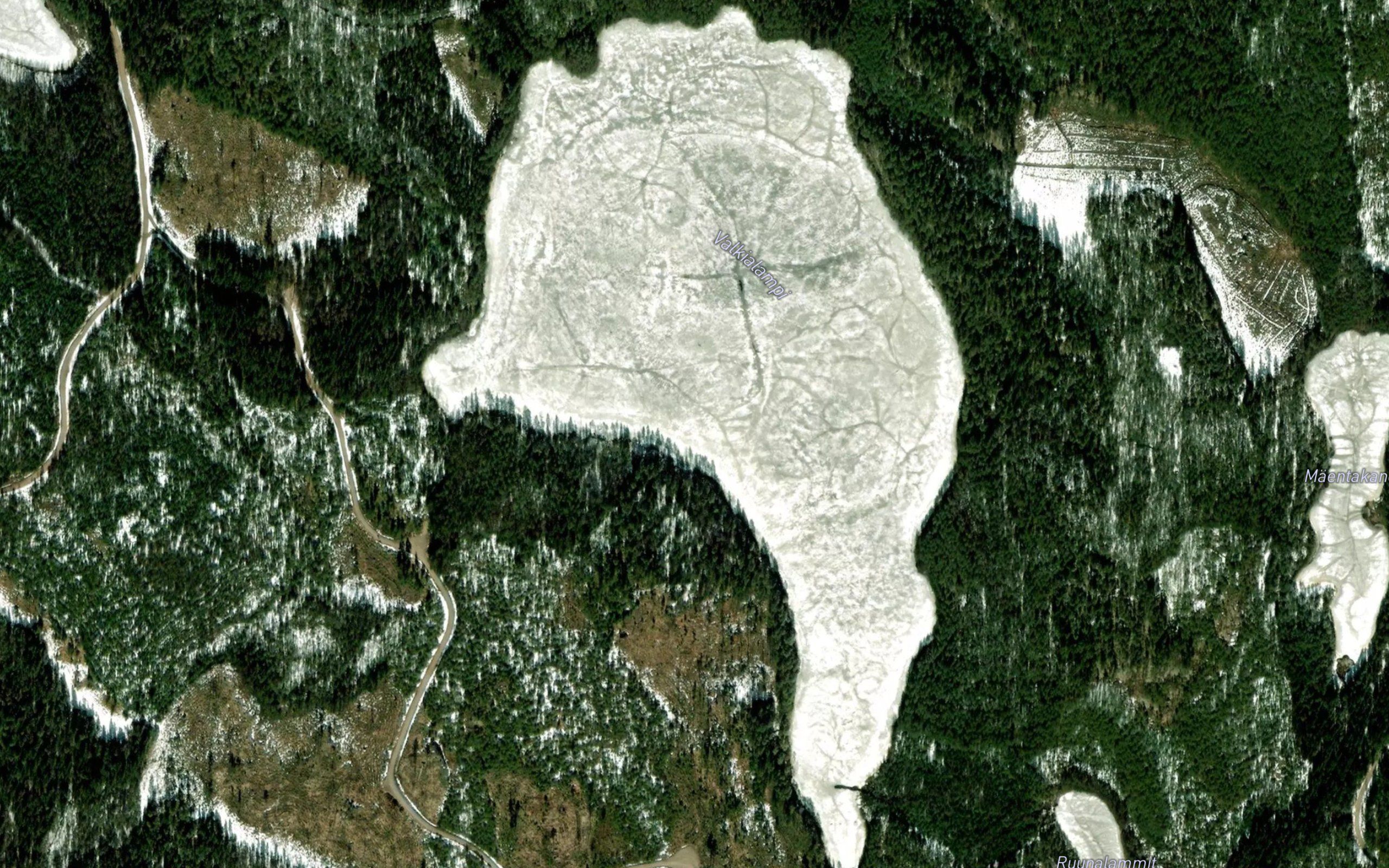 Valkialampi