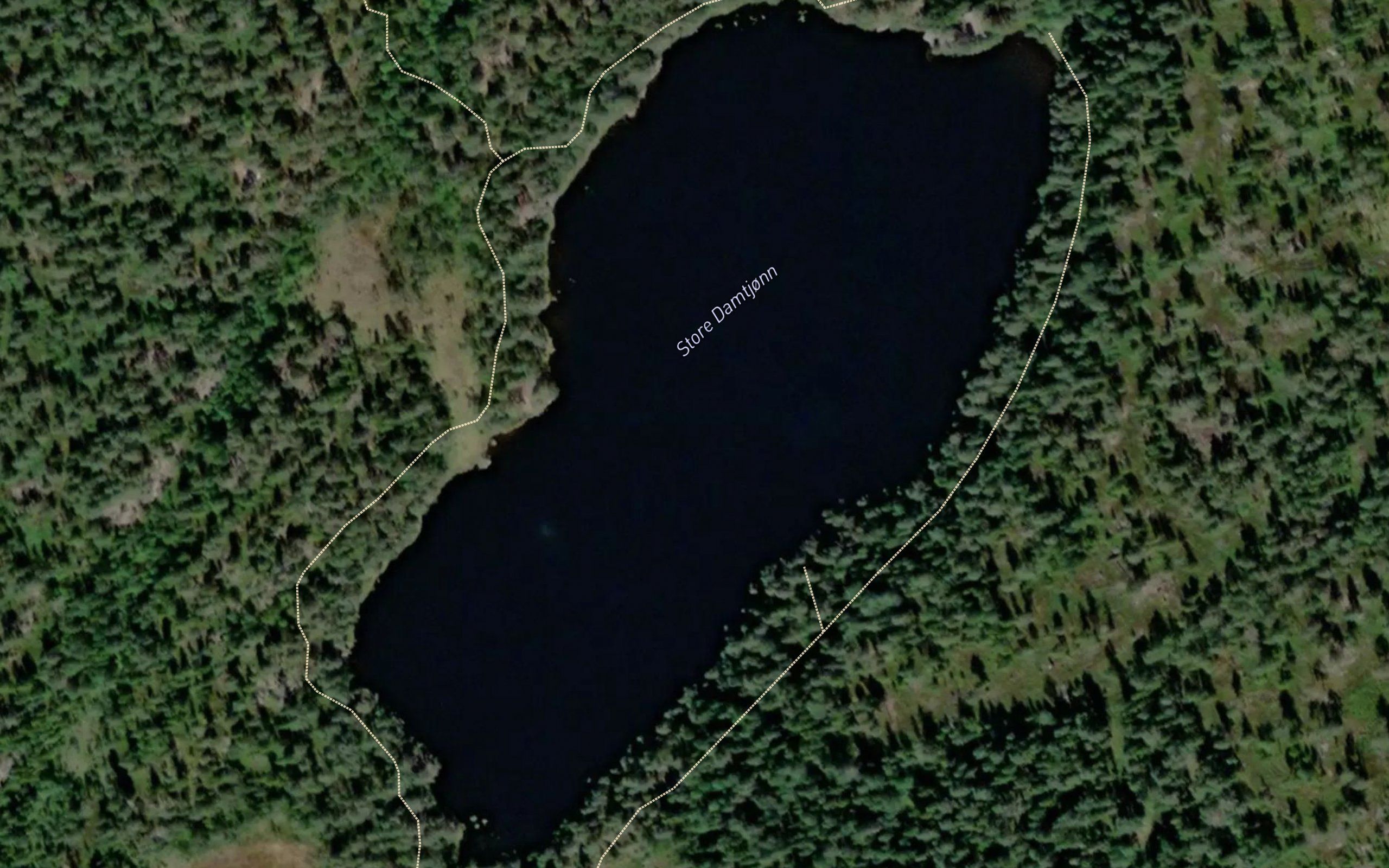 Store Damtjonn