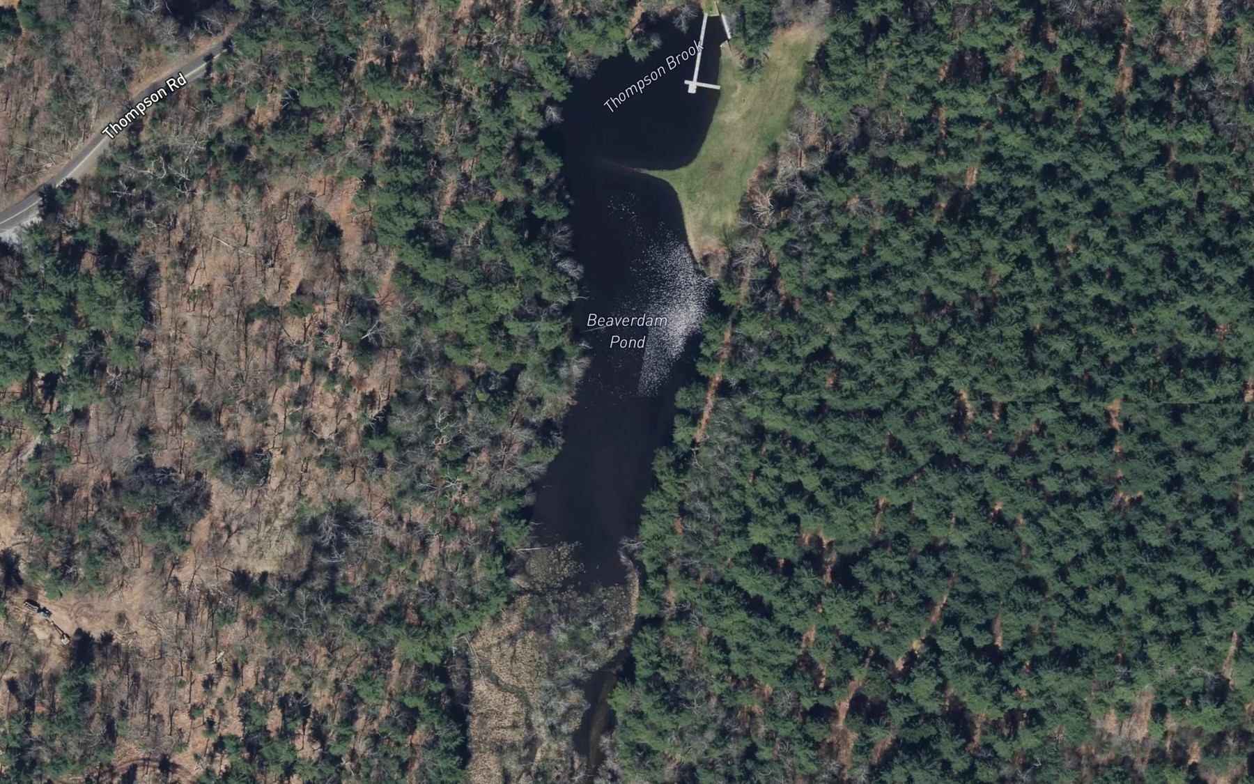 Satellite map of the Beaverdam Pond