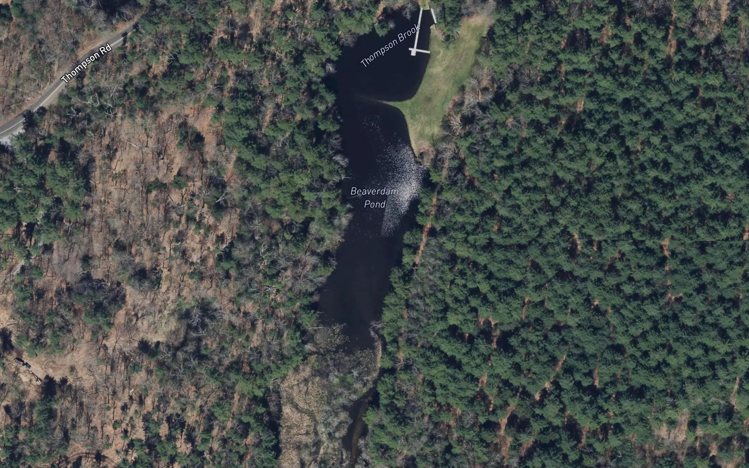Beaverdam Pond