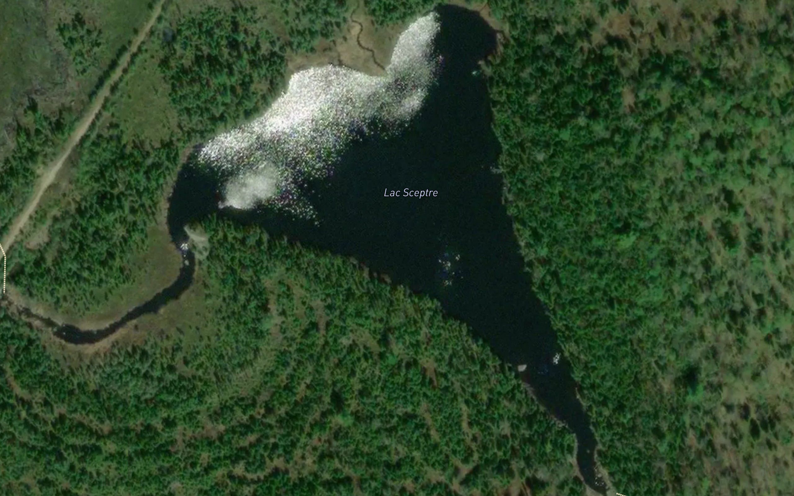 Lac Sceptre
