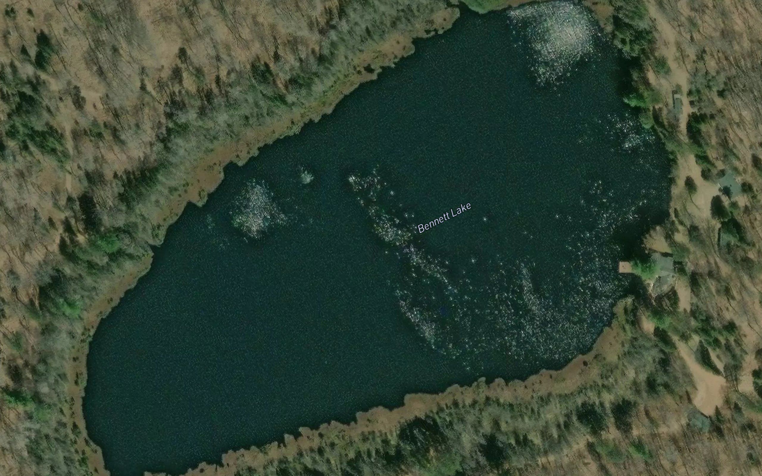 Bennett Lake