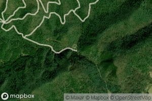 East Fork Lunt Branch