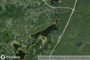 Cow-in-Lake