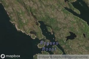 Upper Arm of the Roost