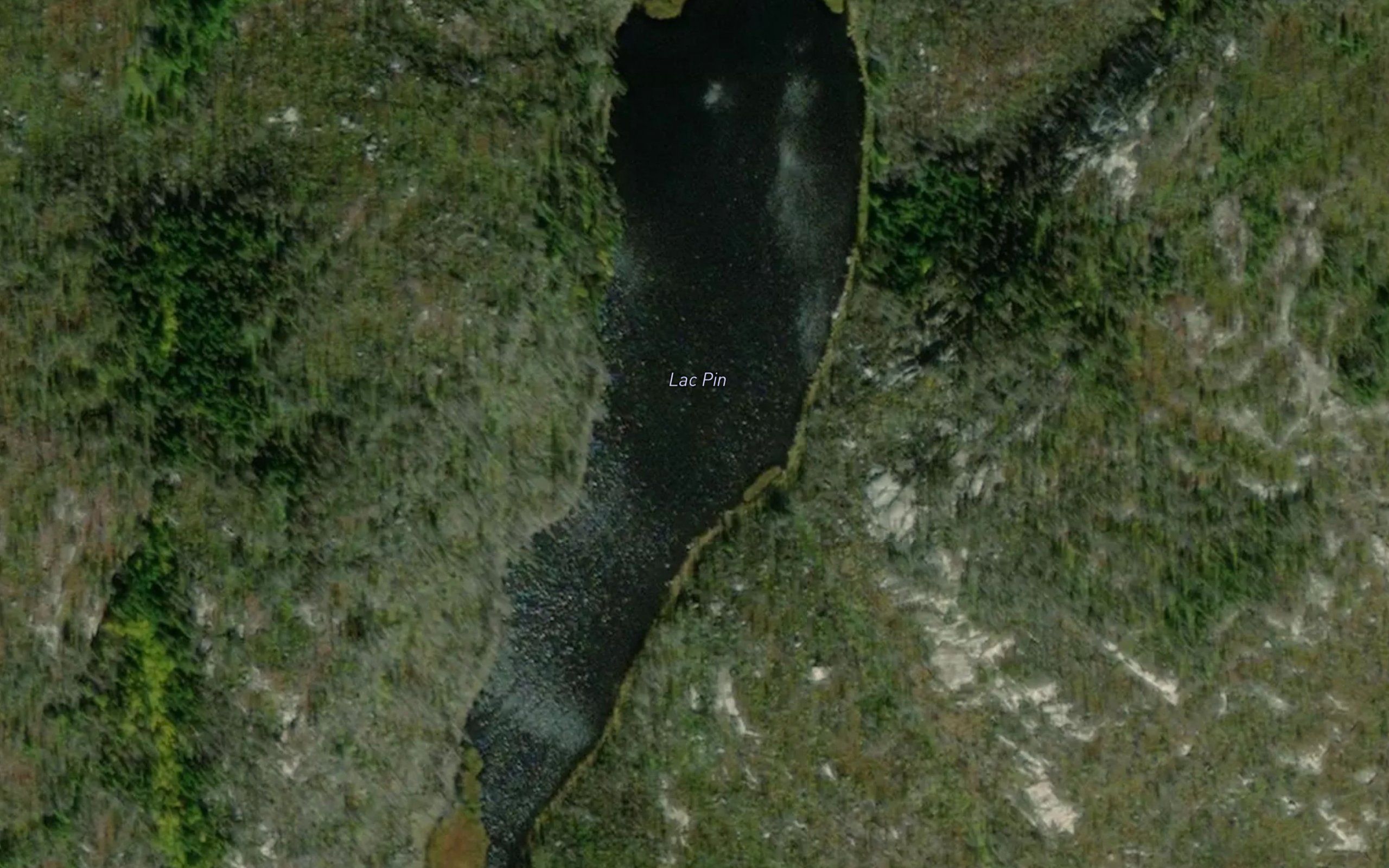 Lac Pin