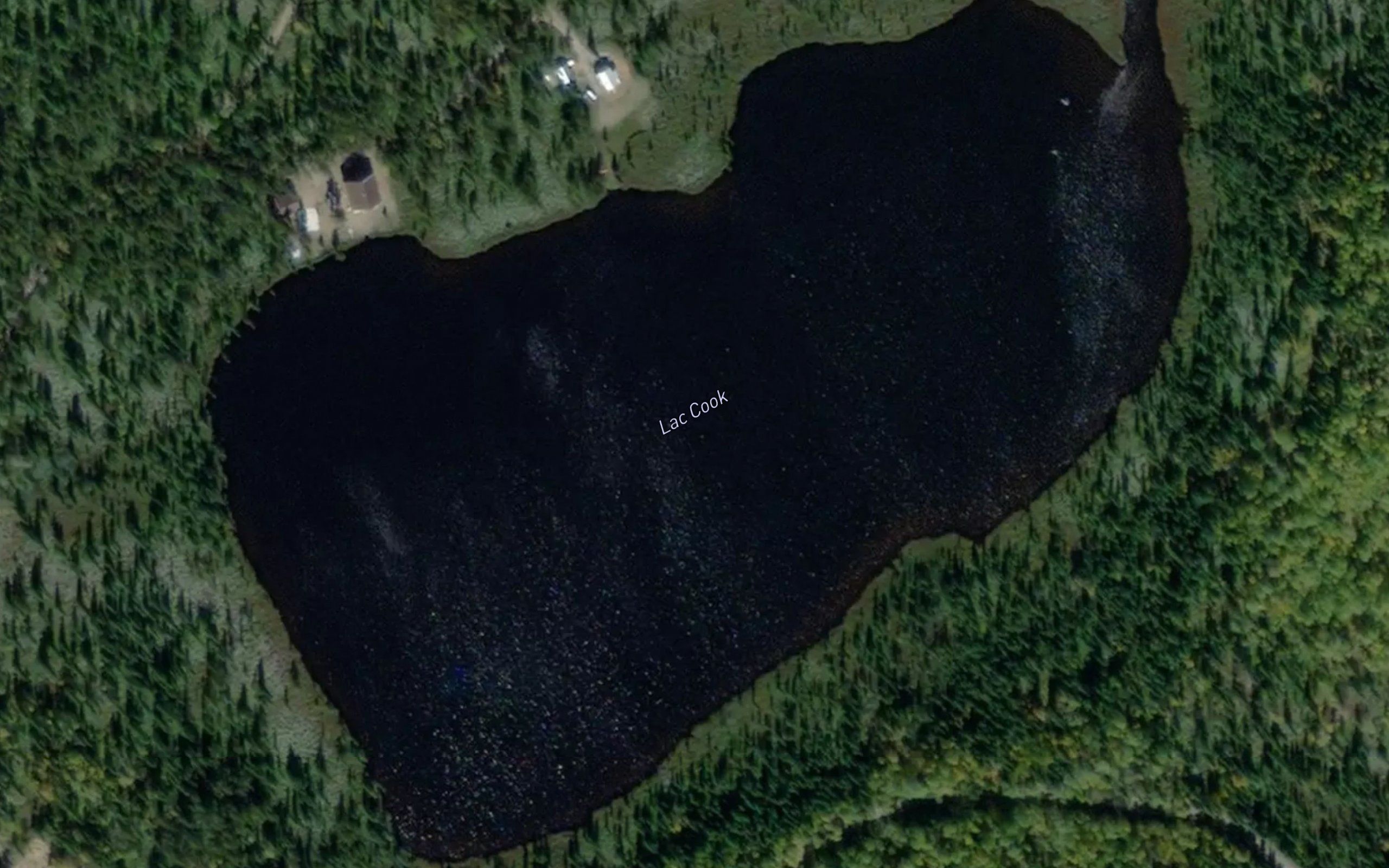 Lac Cook