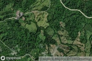 Arroyo Gajo de Palma