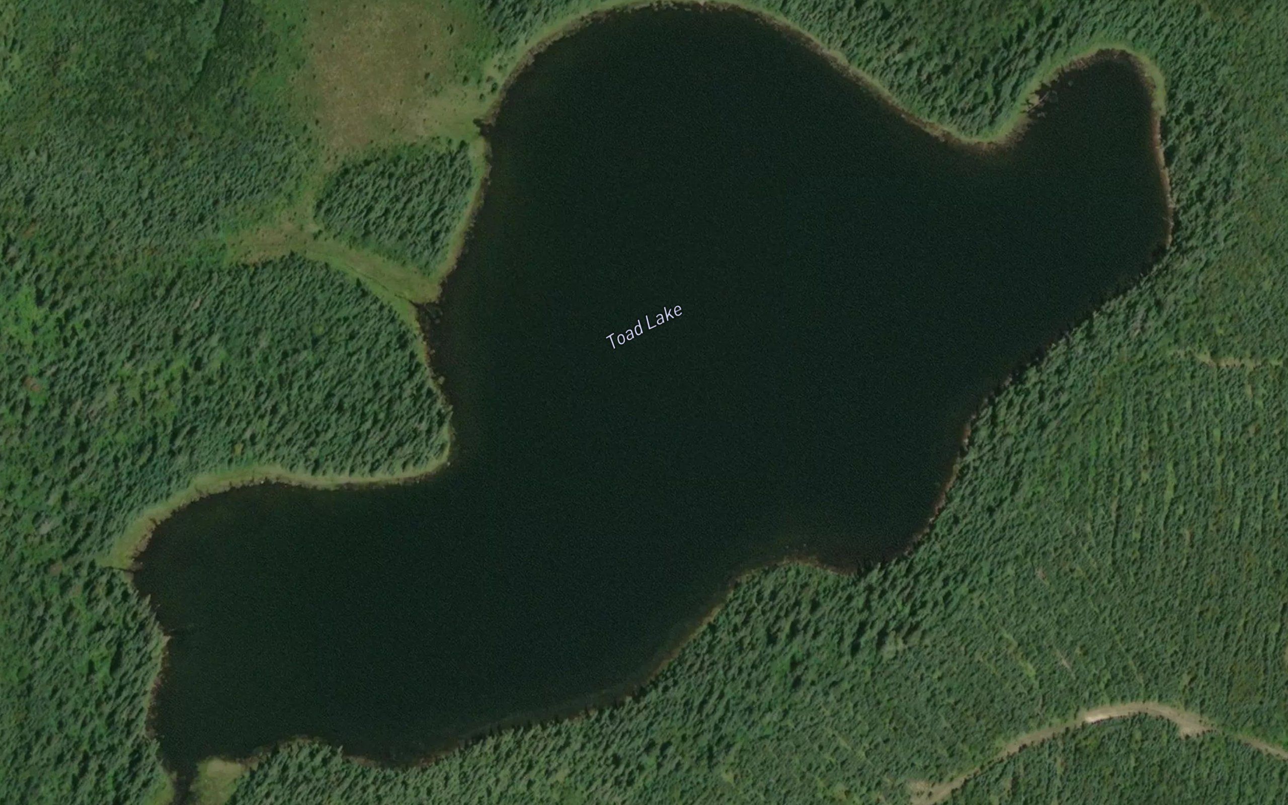 Toad Lake
